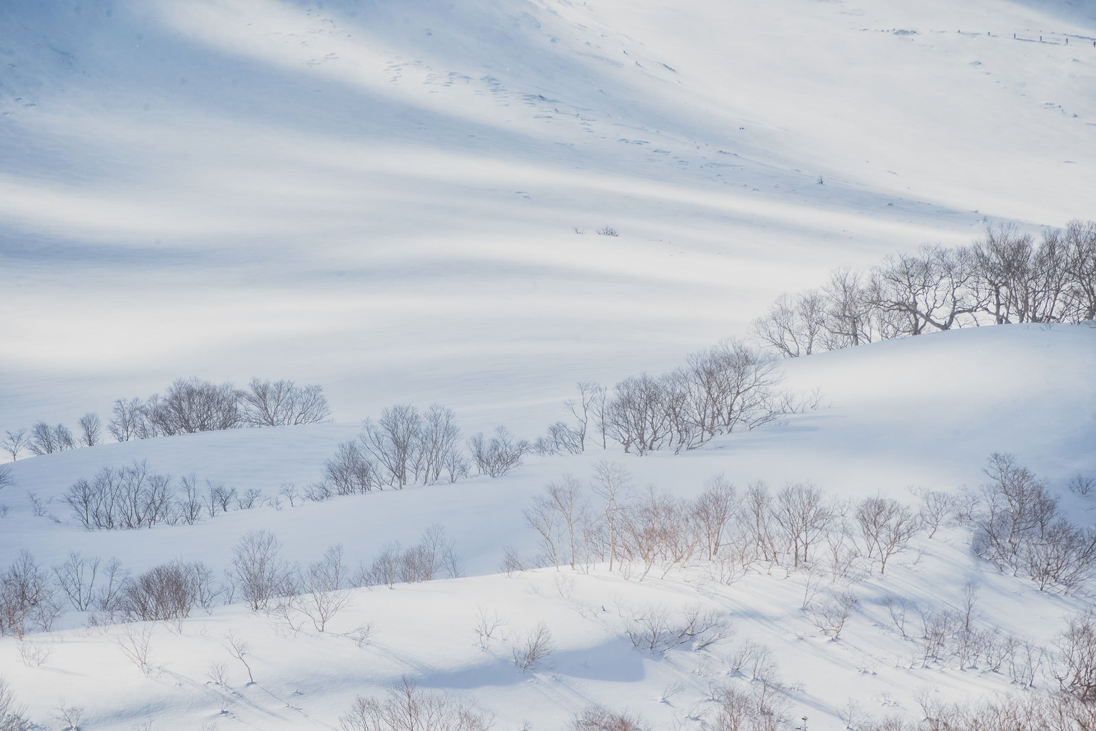 波打つ雪の表面に走る光の写真を無料ダウンロード フリー素材 ぱくたそ