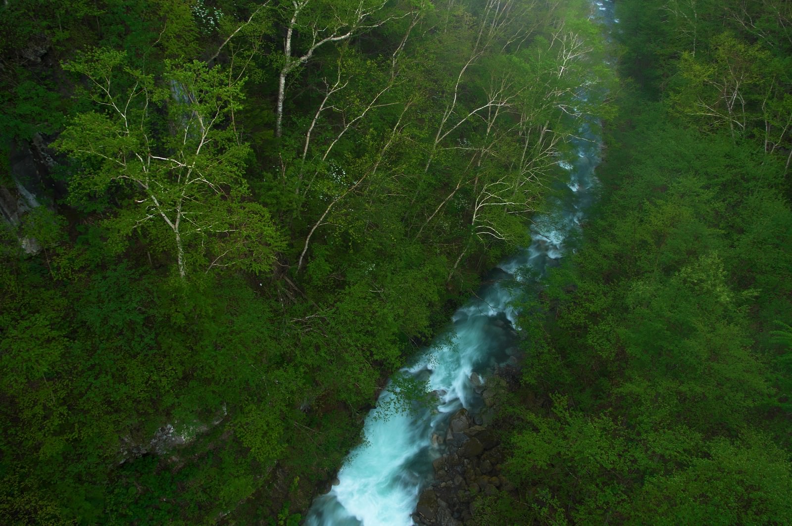 森を流れる渓流の写真を無料ダウンロード フリー素材 ぱくたそ 森を流れる渓流の写真を無料ダウンロード フリー素材 ぱくたそ