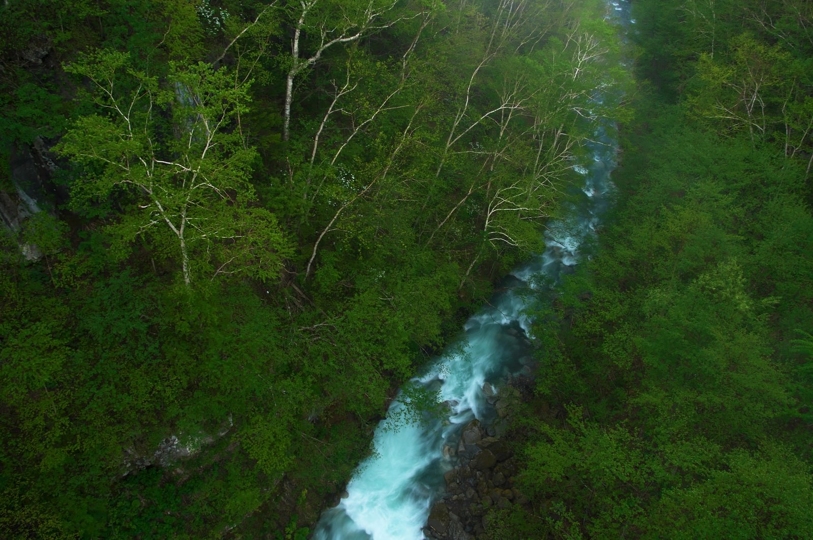 森を流れる渓流の写真を無料ダウンロード フリー素材 ぱくたそ