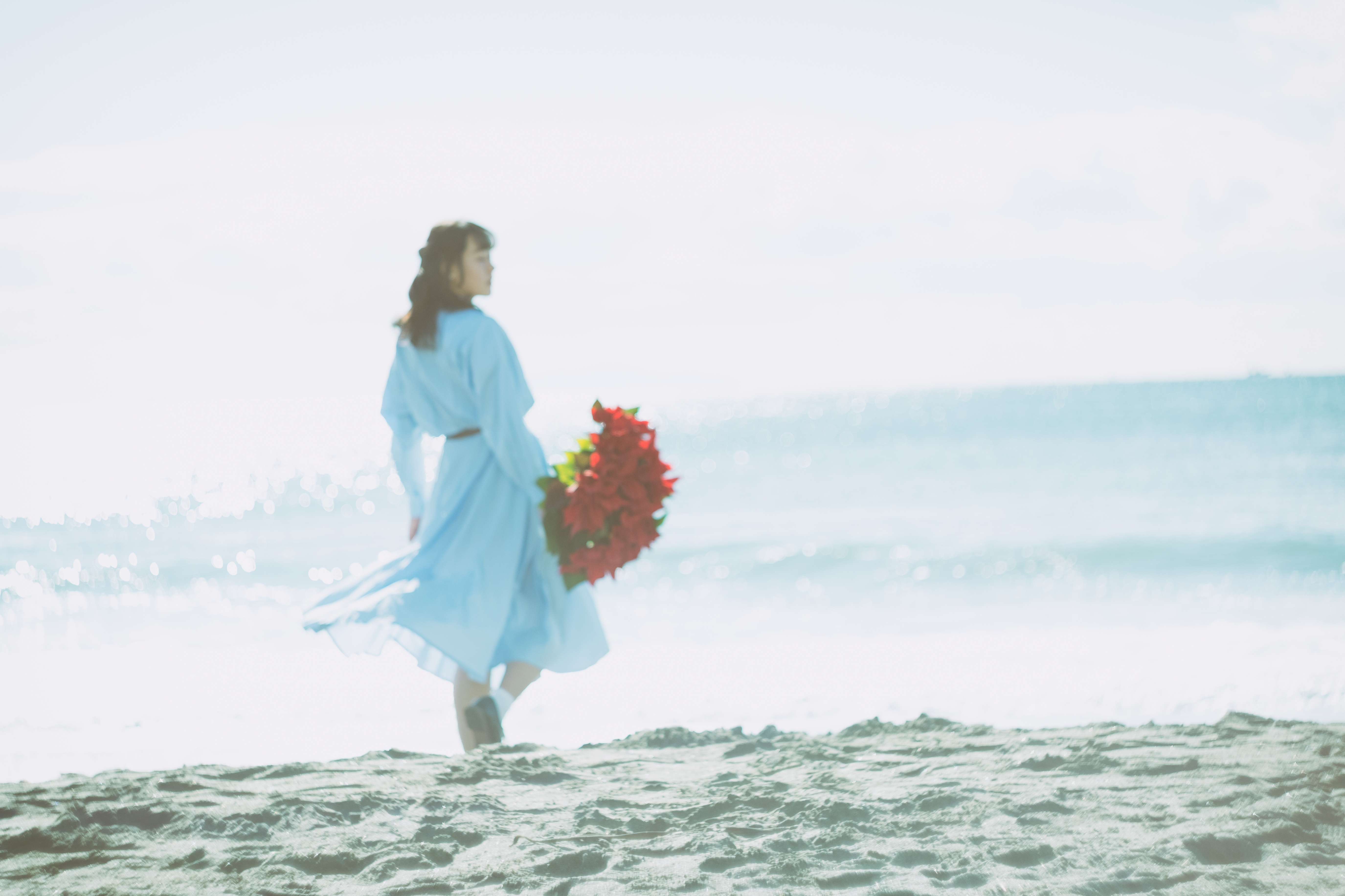 赤い花束を持ち砂浜を歩く女性の後ろ姿の写真（画像）を無料ダウンロード フリー素材のぱくたそ