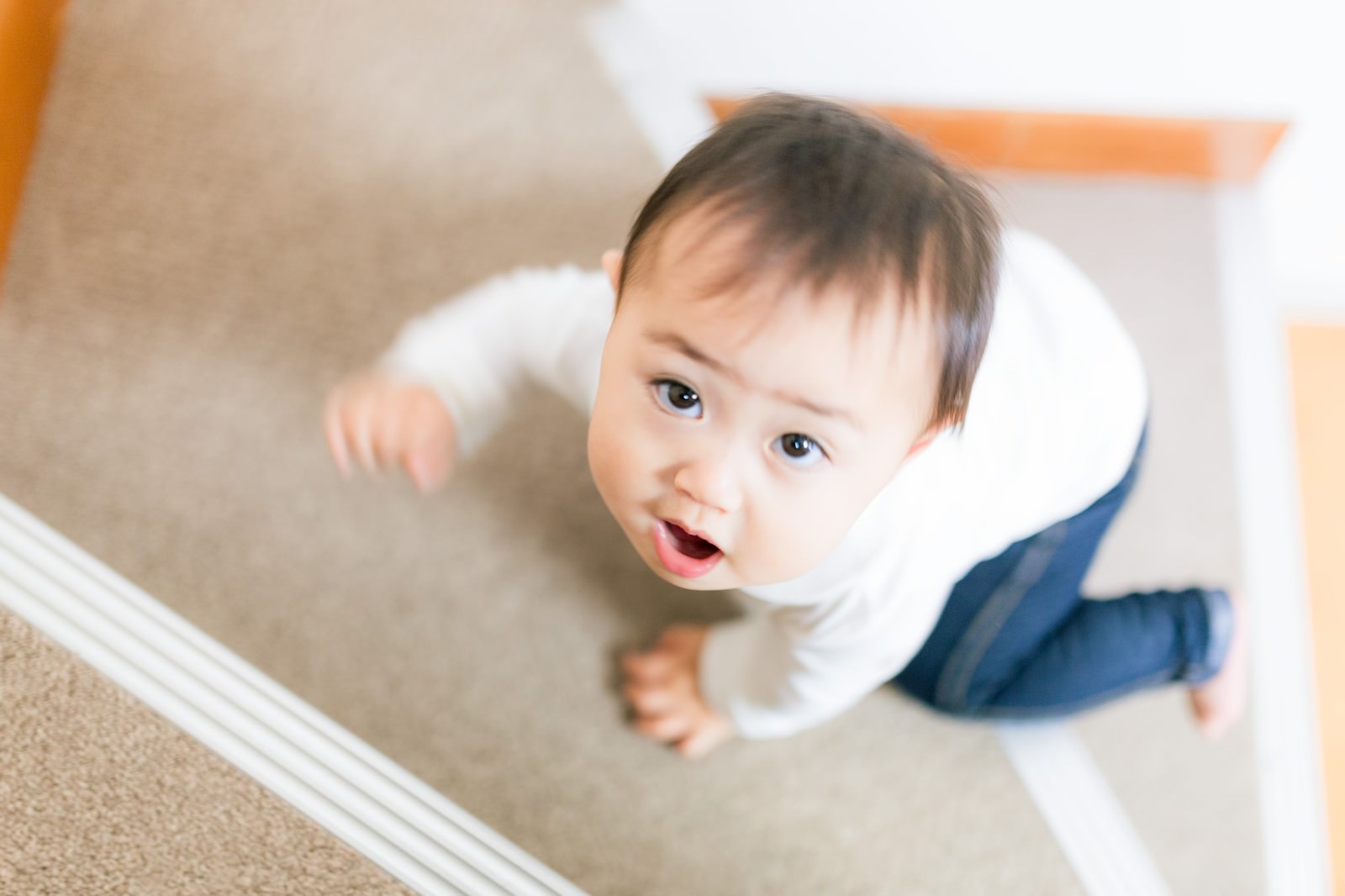 「いつの間にかハイハイで階段をのぼれるようになった赤ちゃん | フリー素材のぱくたそ」の写真［モデル：Lisa］