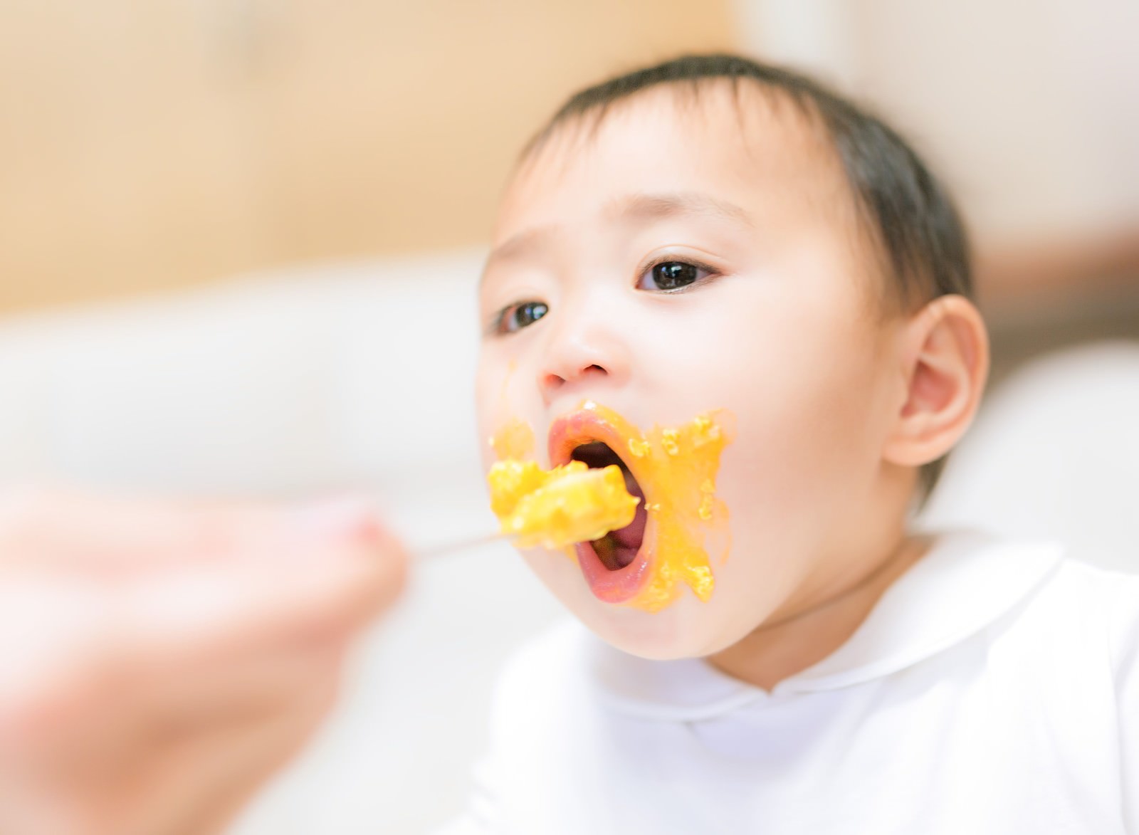 子供たちお気に入りのアメリカ離乳食製品 ２ おやつ編 小児科医ママの家事 育児