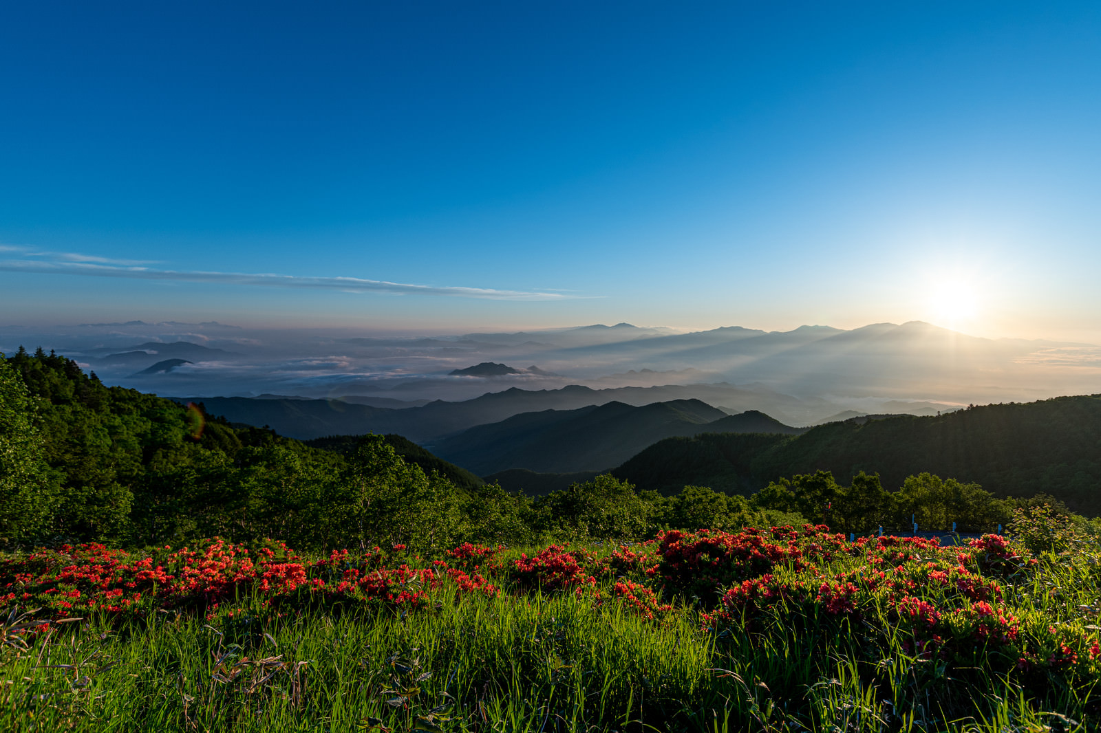 「雲海と山並み」の写真