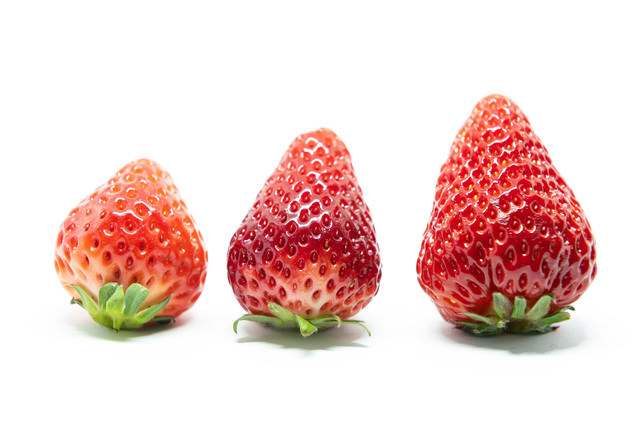 いちごページ　リクエスト5点 MIYA19st033_TP_V1.jpg