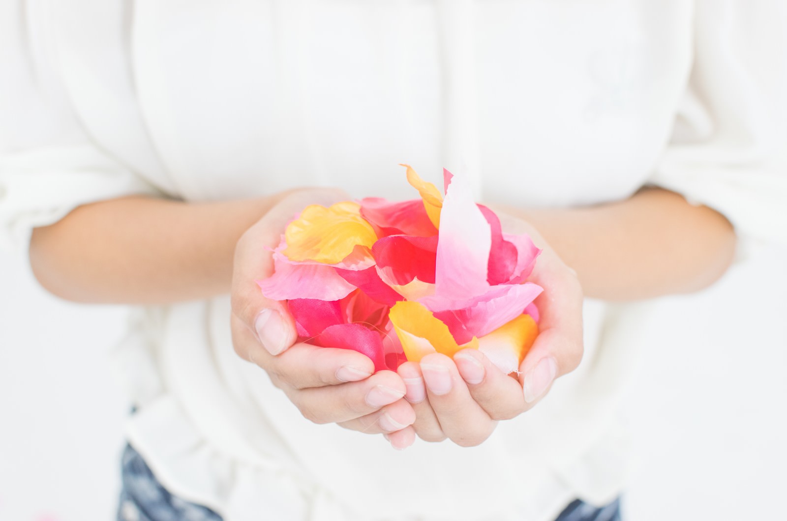 「手のひらいっぱいの花びら」の写真