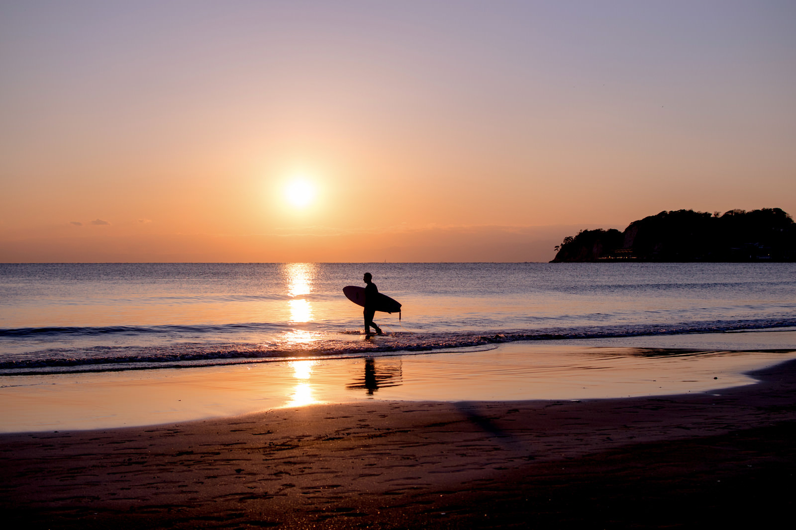 ãå¤æ®ãã®æµ·ã«åãããµã¼ãã¡ã¼ã