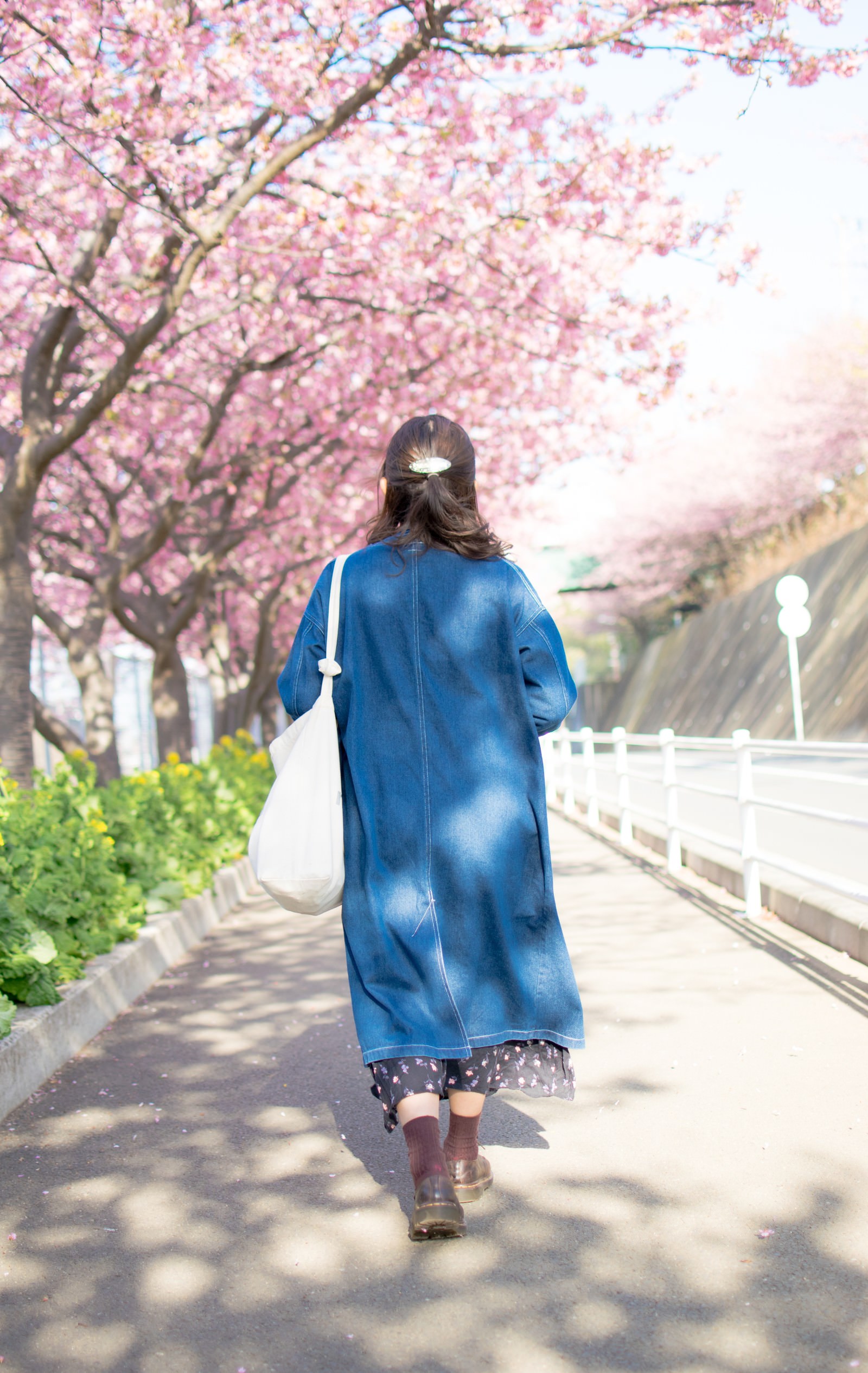桜の道を歩く女性の後姿の写真を無料ダウンロード フリー素材 ぱくたそ 桜の道を歩く女性の後姿の写真を無料ダウンロード フリー素材 ぱくたそ
