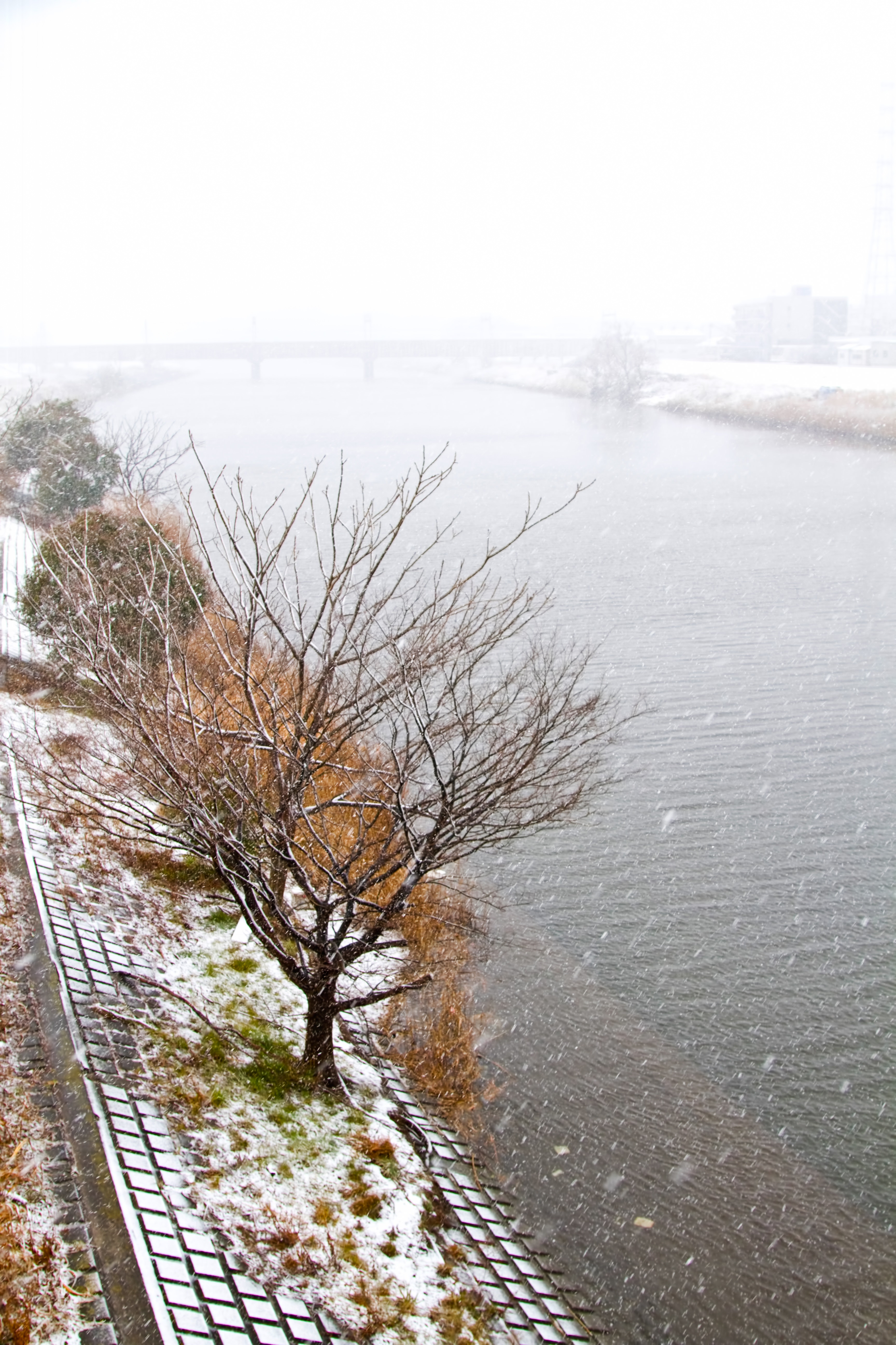 雪と河川敷の様子の写真素材 ぱくたそ