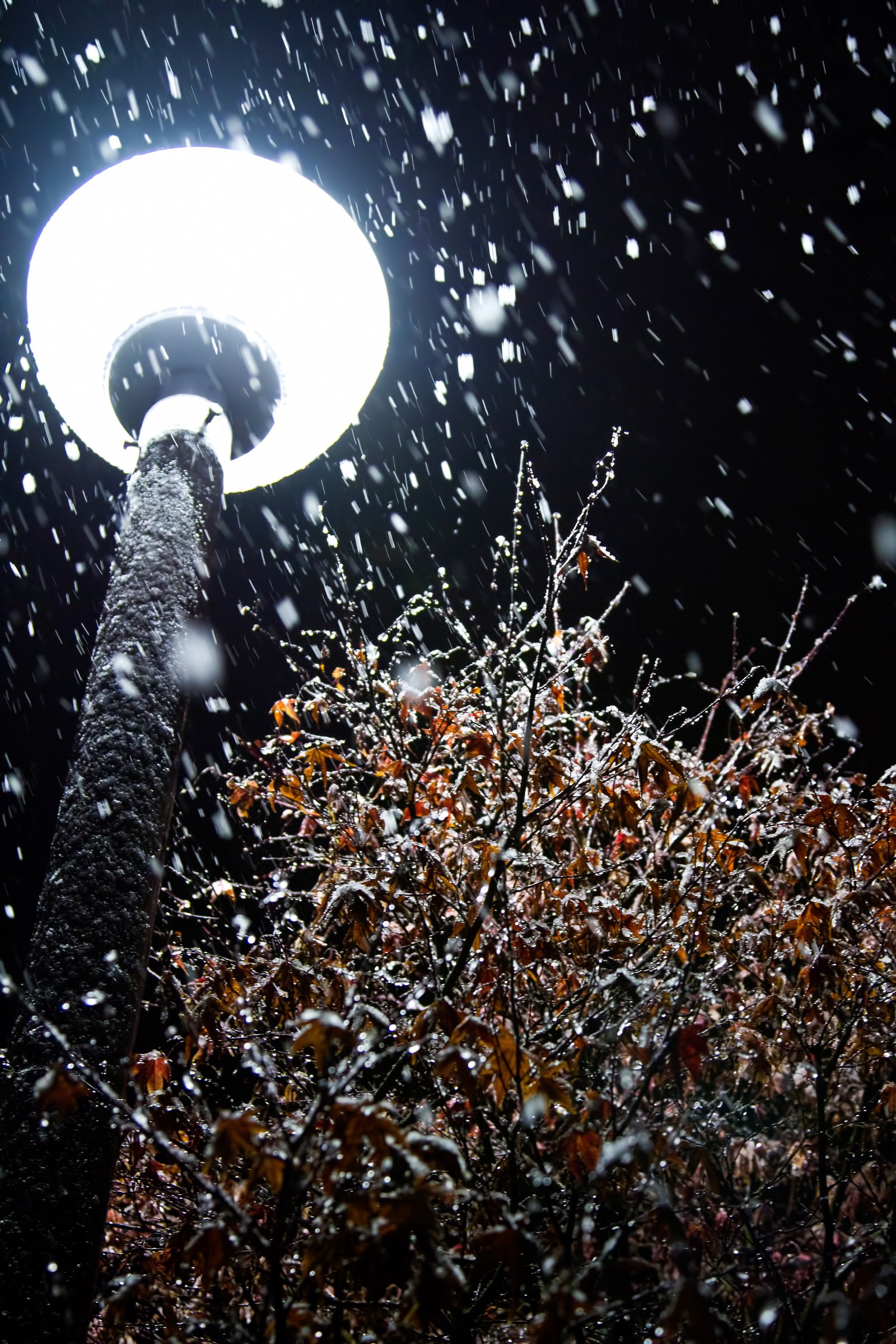 丸い街灯と雪 夜 の写真を無料ダウンロード フリー素材 ぱくたそ