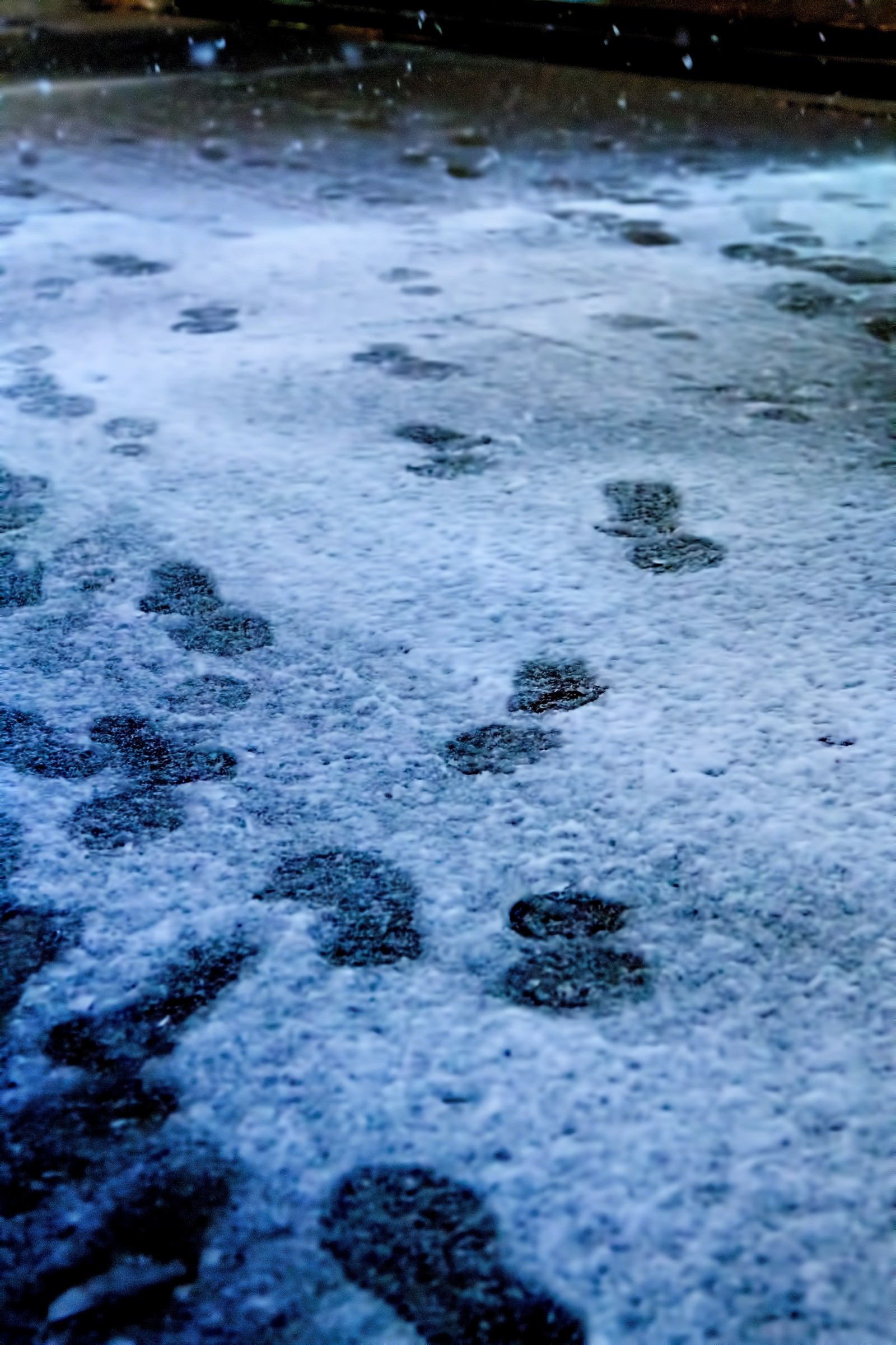 降り始めの雪と足跡の無料の写真素材 フリー素材 をダウンロード ぱくたそ