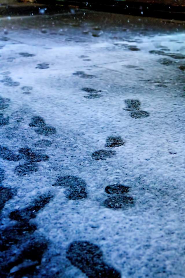 降り始めの雪と足跡の写真 画像 を無料ダウンロード フリー素材のぱくたそ 降り始めの雪と足跡の写真 画像 を無料ダウンロード フリー素材のぱくたそ