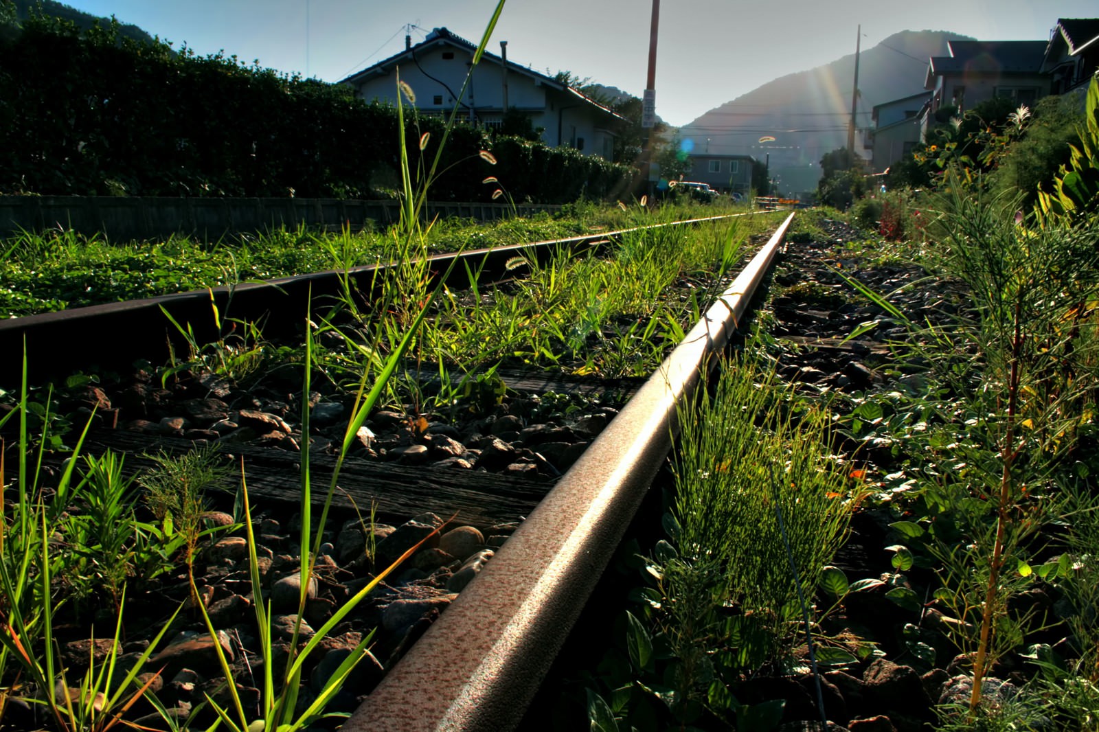 廃線で雑草が伸びた線路 無料の写真素材はフリー素材のぱくたそ