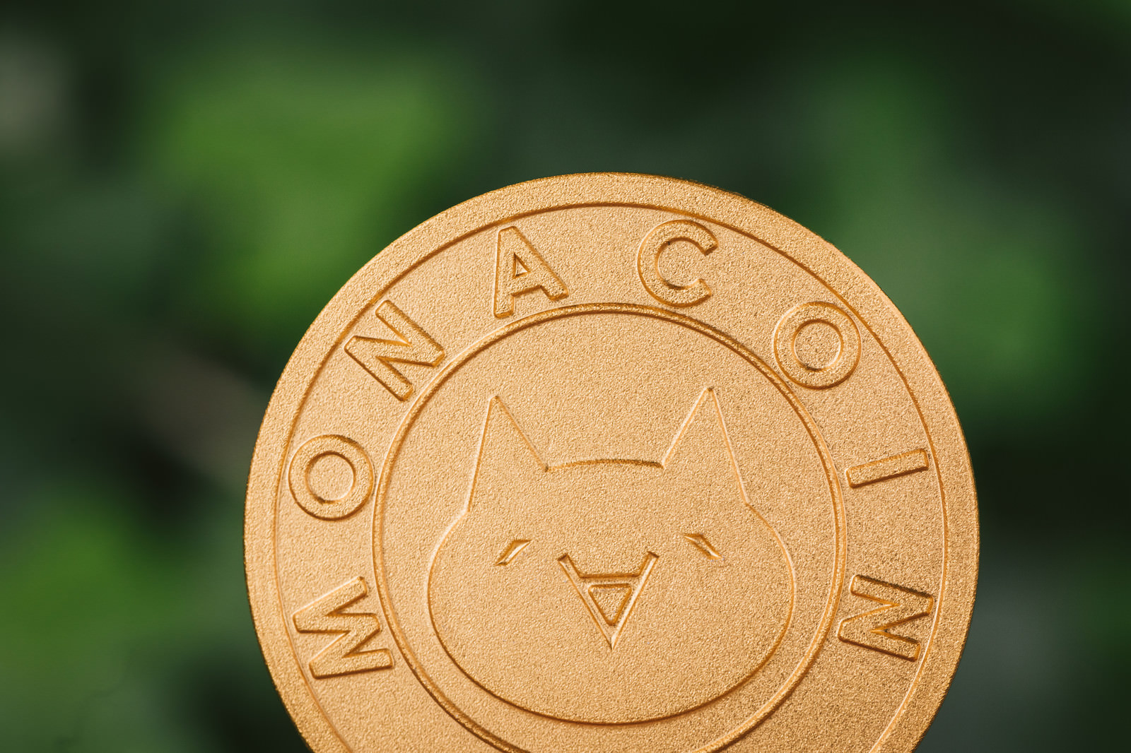 Monacoin モナコイン Mona の写真 画像 を無料ダウンロード フリー素材のぱくたそ Monacoin モナコイン Mona の写真 画像 を無料ダウンロード フリー素材のぱくたそ