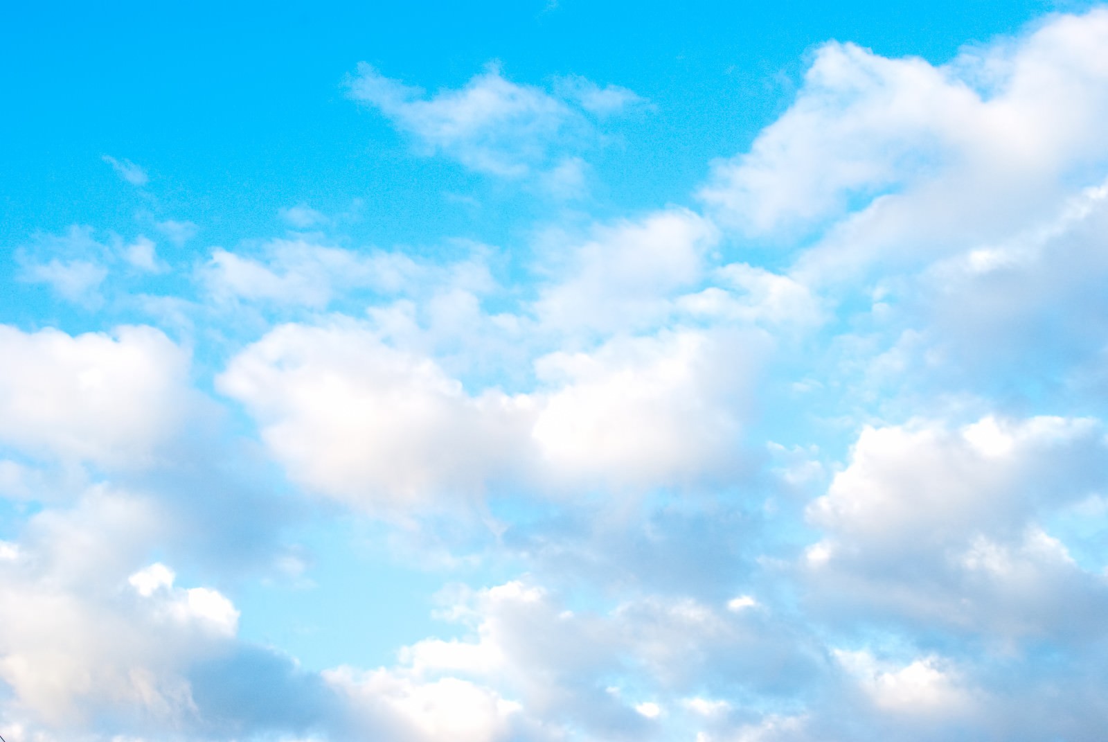 「清々しい青空」の写真