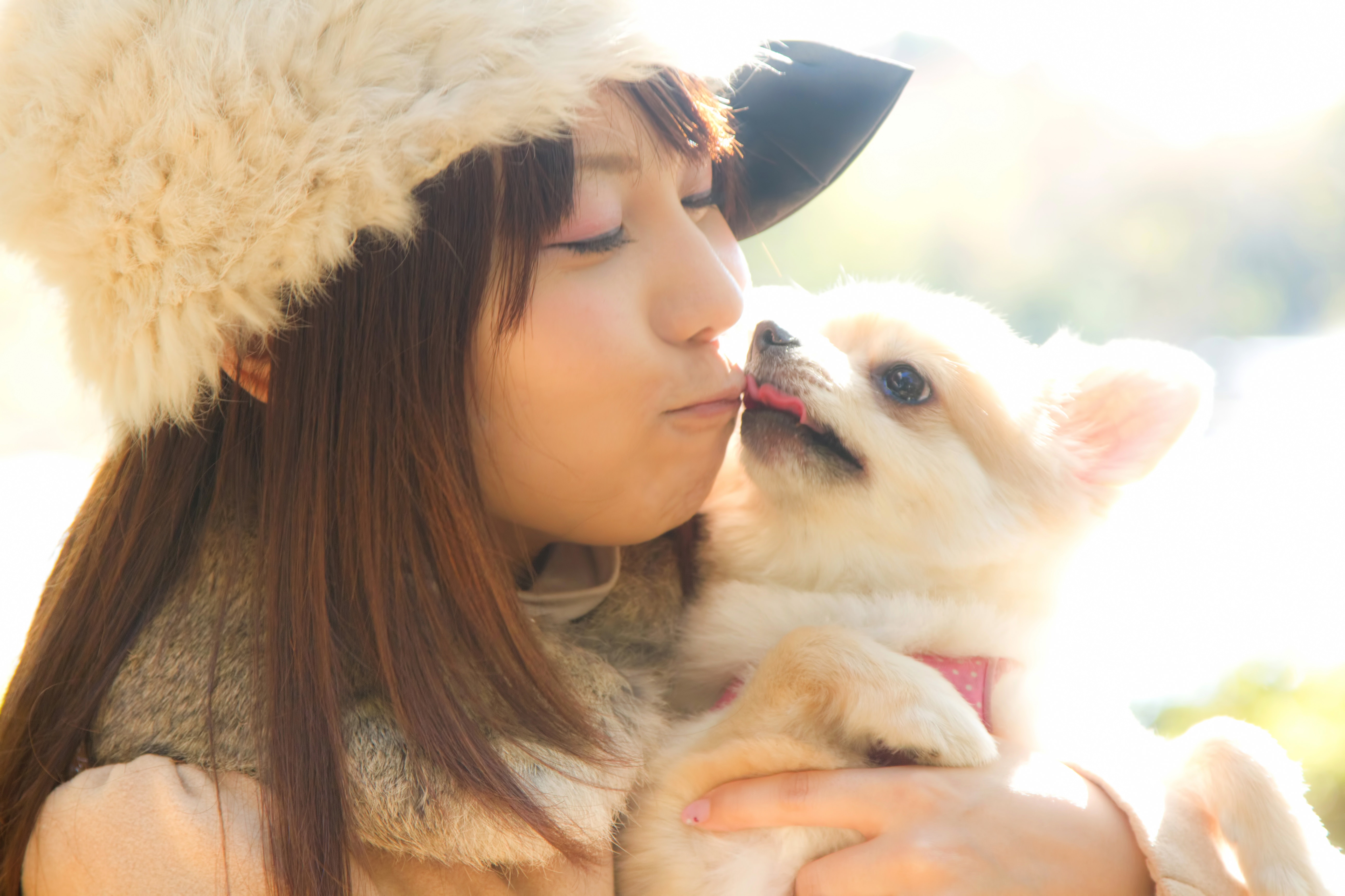 犬とキス チュー する可愛い女の子の写真素材 ぱくたそ