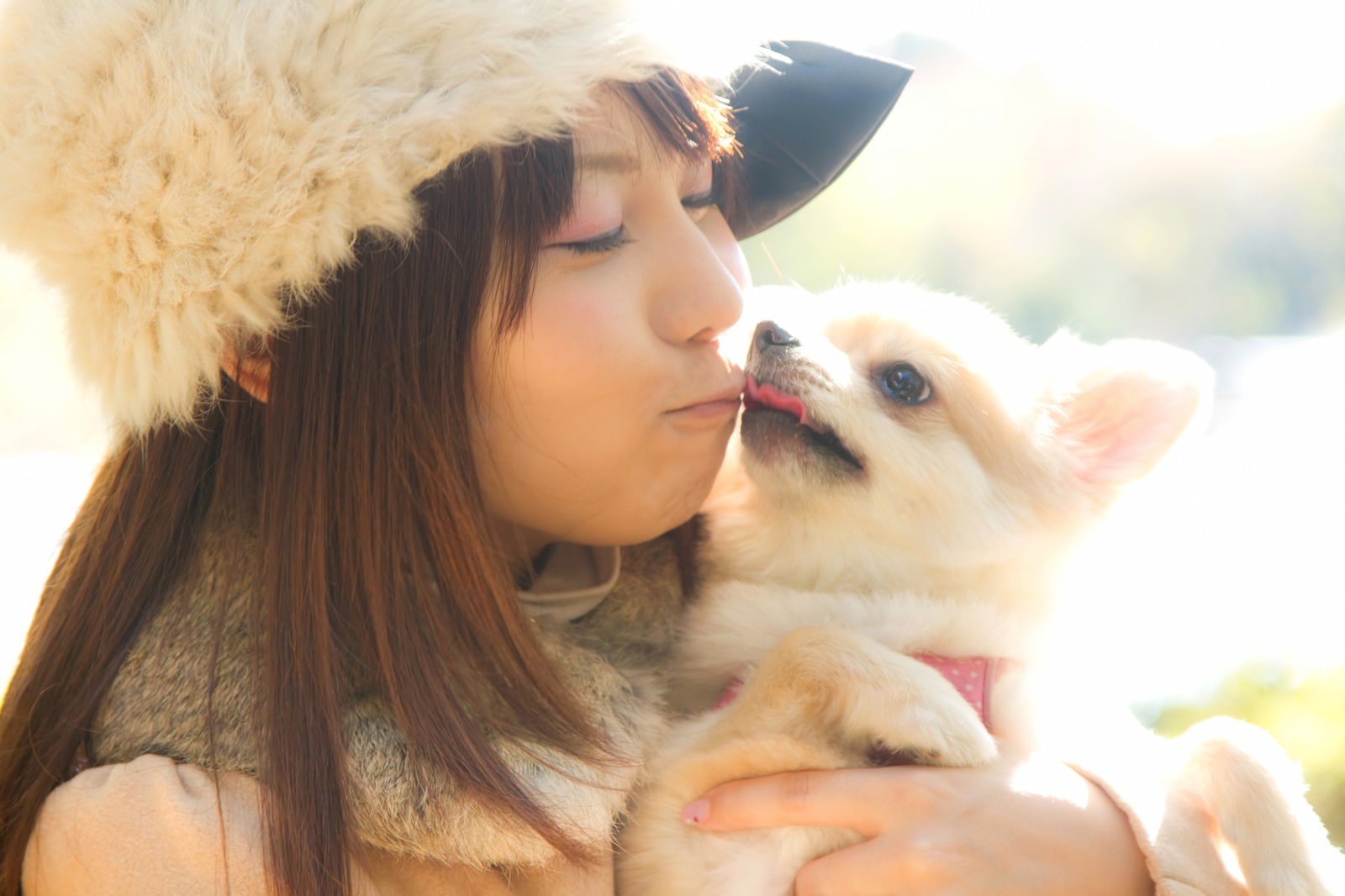 犬とキス チュー する可愛い女の子 無料の写真素材はフリー素材の