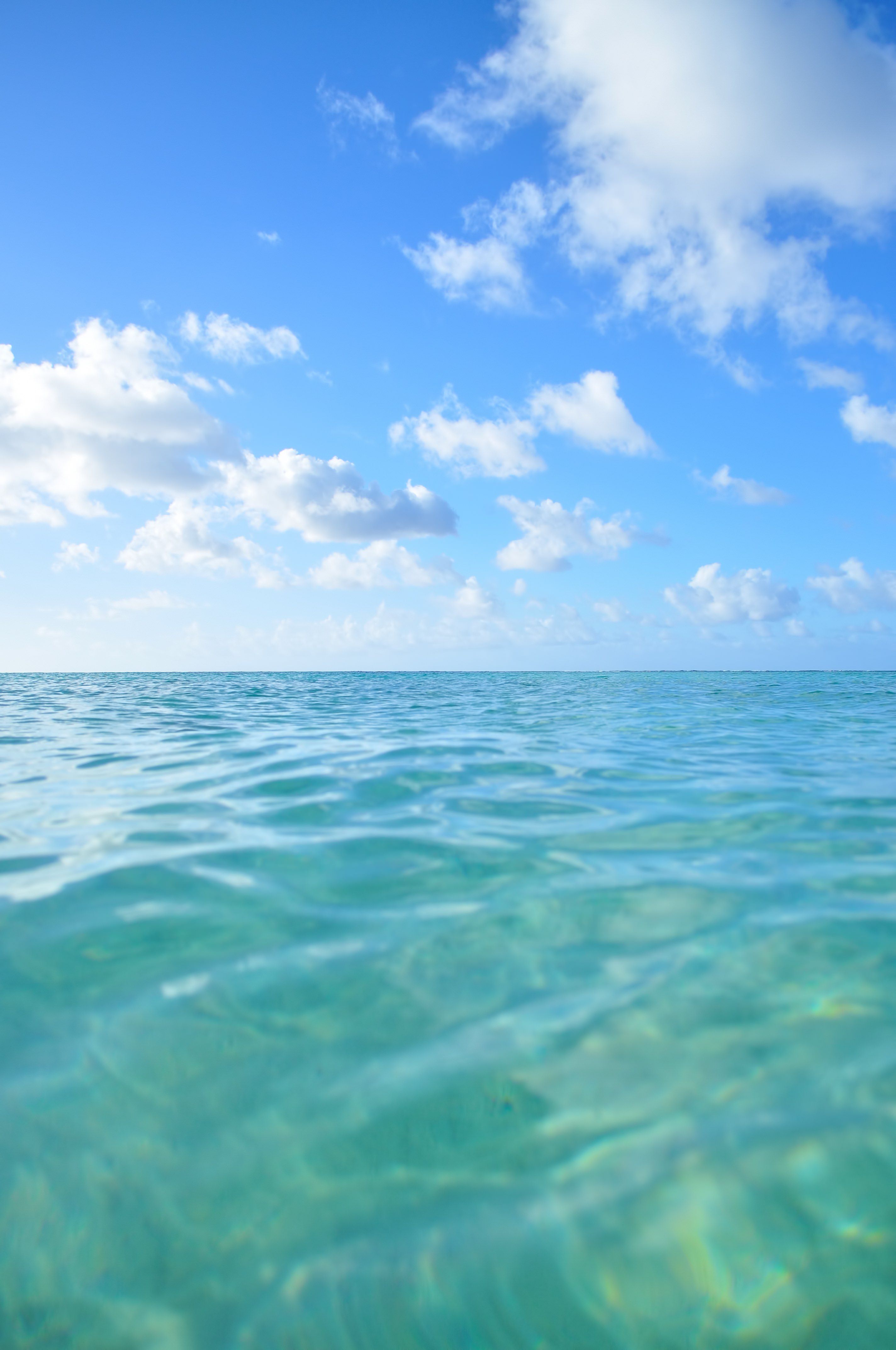 透明な海と青空の無料写真素材