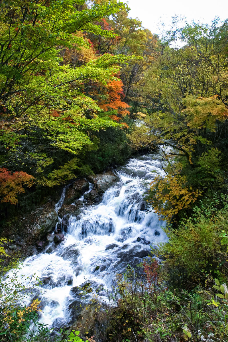 「黄葉間近の魚止めの滝 | フリー素材のぱくたそ」の写真