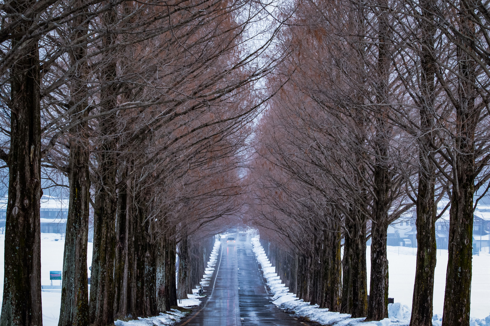 ãã©ãã¾ã§ãç¶ãã¡ã¿ã»ã³ã¤ã¤ä¸¦æ¨ã®éè·¯ã©ãã¾ã§ãç¶ãã¡ã¿ã»ã³ã¤ã¤ä¸¦æ¨ã®éè·¯ãã®ããªã¼åçç´ æãæ¡å¤§