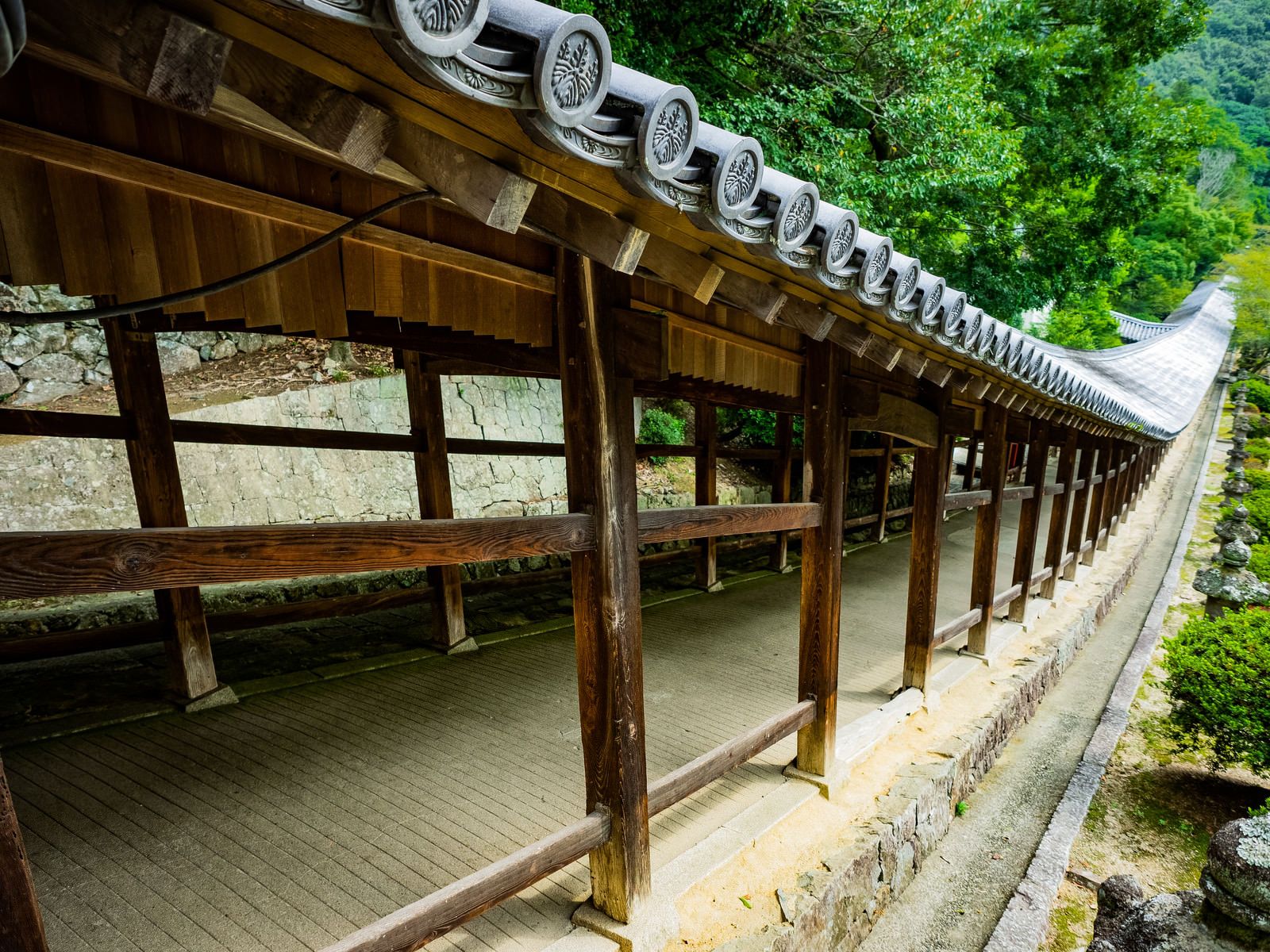 ãååæ´¥ç¥ç¤¾ã«ããå¾æã®ç¶ãé·ãåå»ã