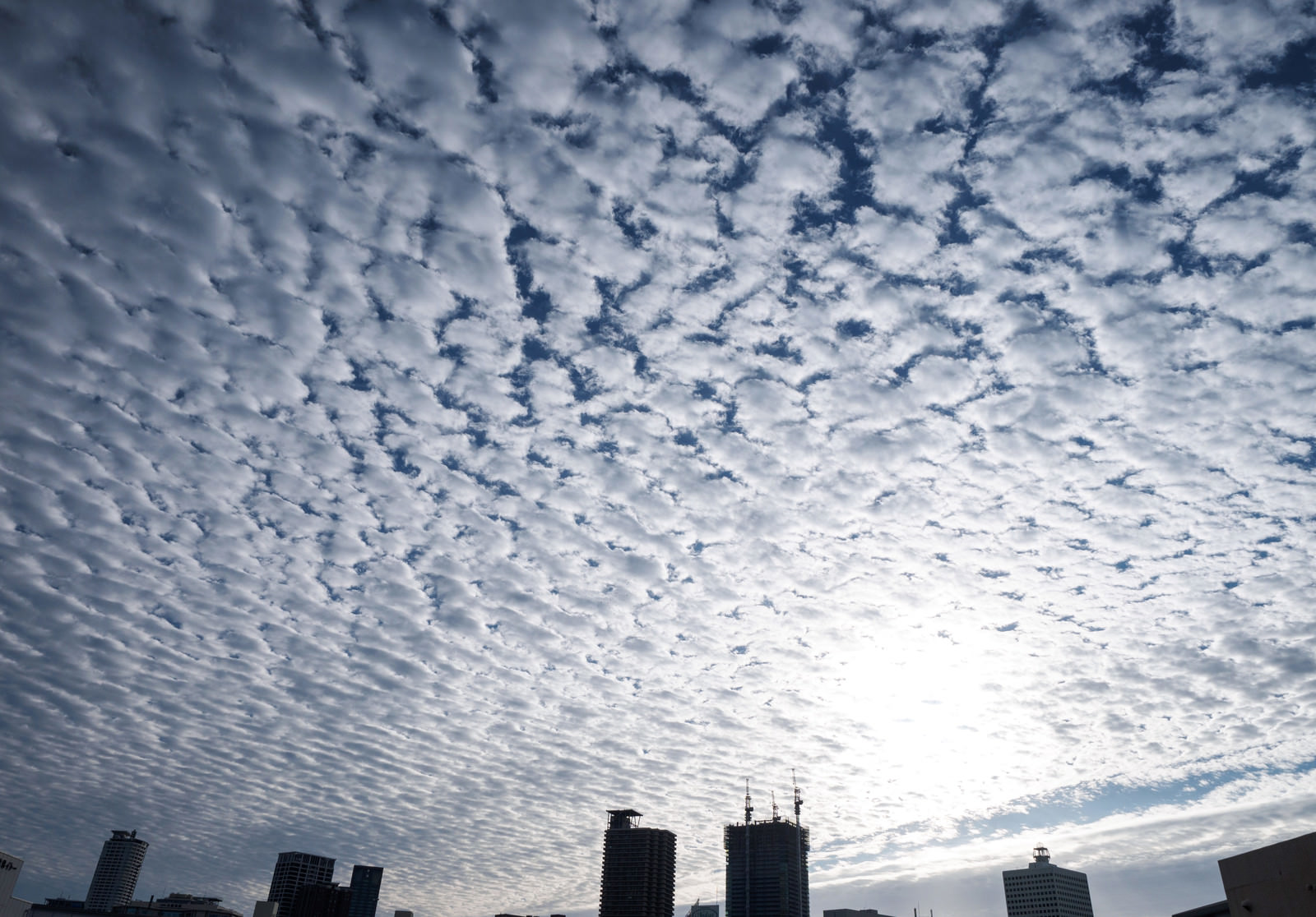 一面のうろこ雲 巻積雲 の写真を無料ダウンロード フリー素材 ぱくたそ