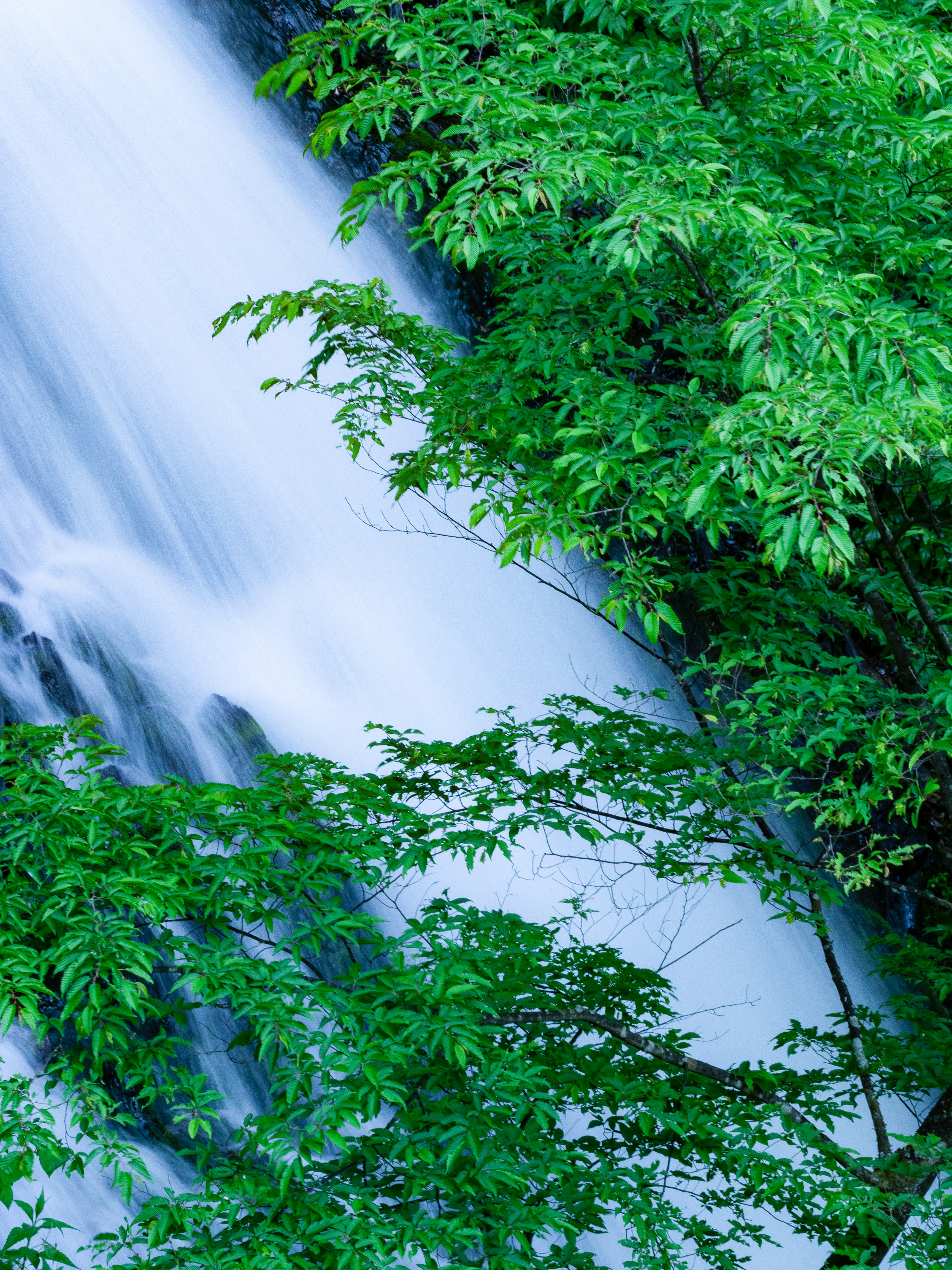 滝の流れと癒やしの写真素材 ぱくたそ