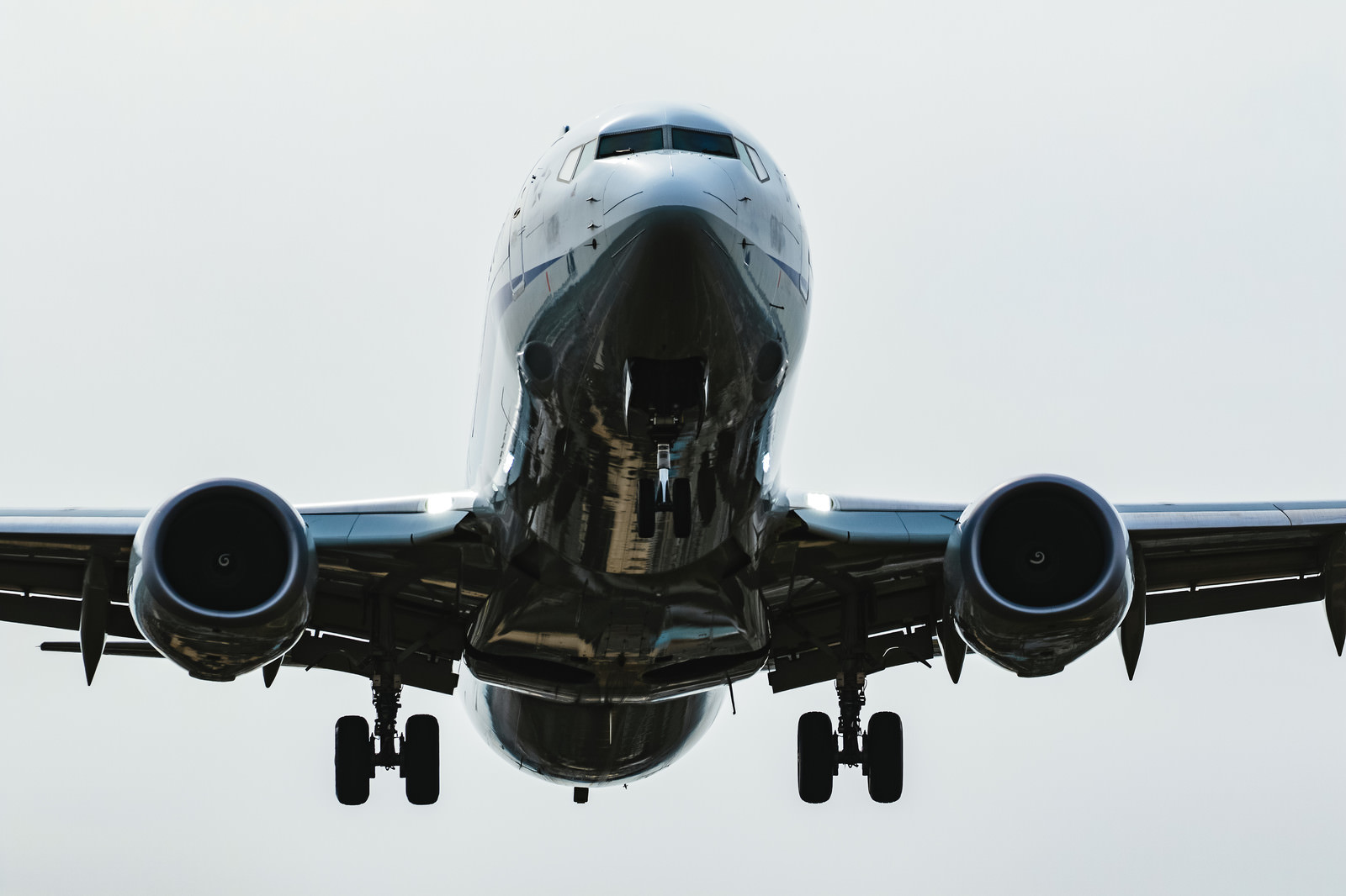 「大空の翼」の写真