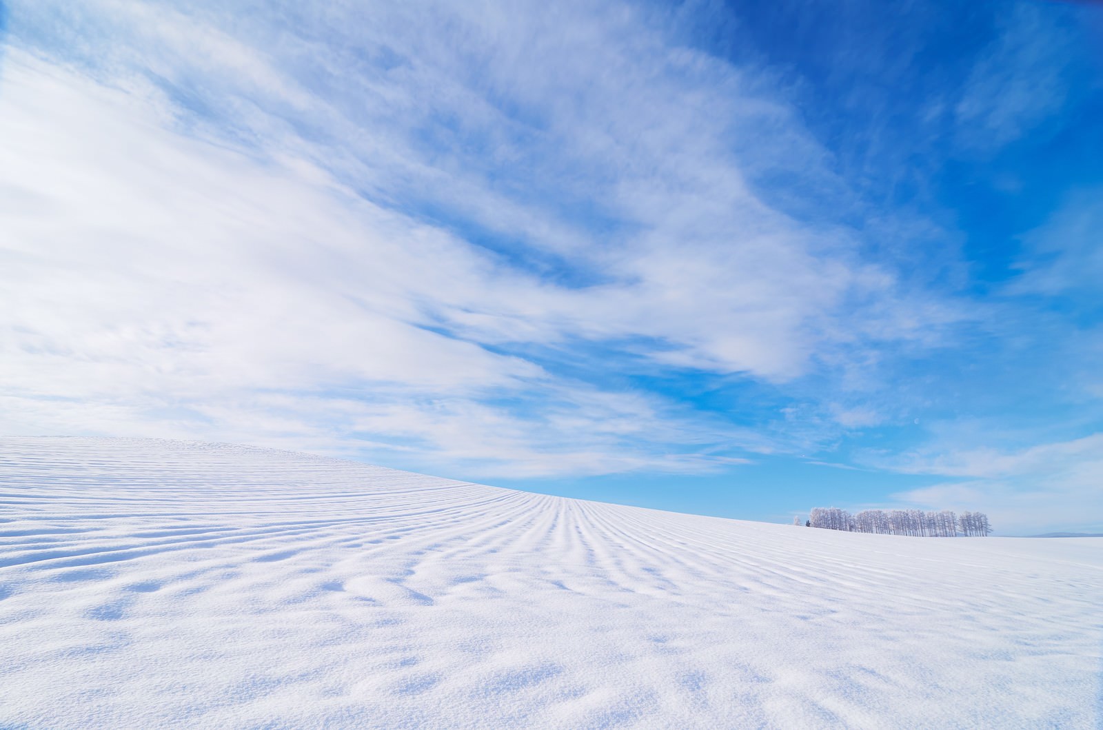 北海道の広大な雪原のフリー素材 - ぱくたそ