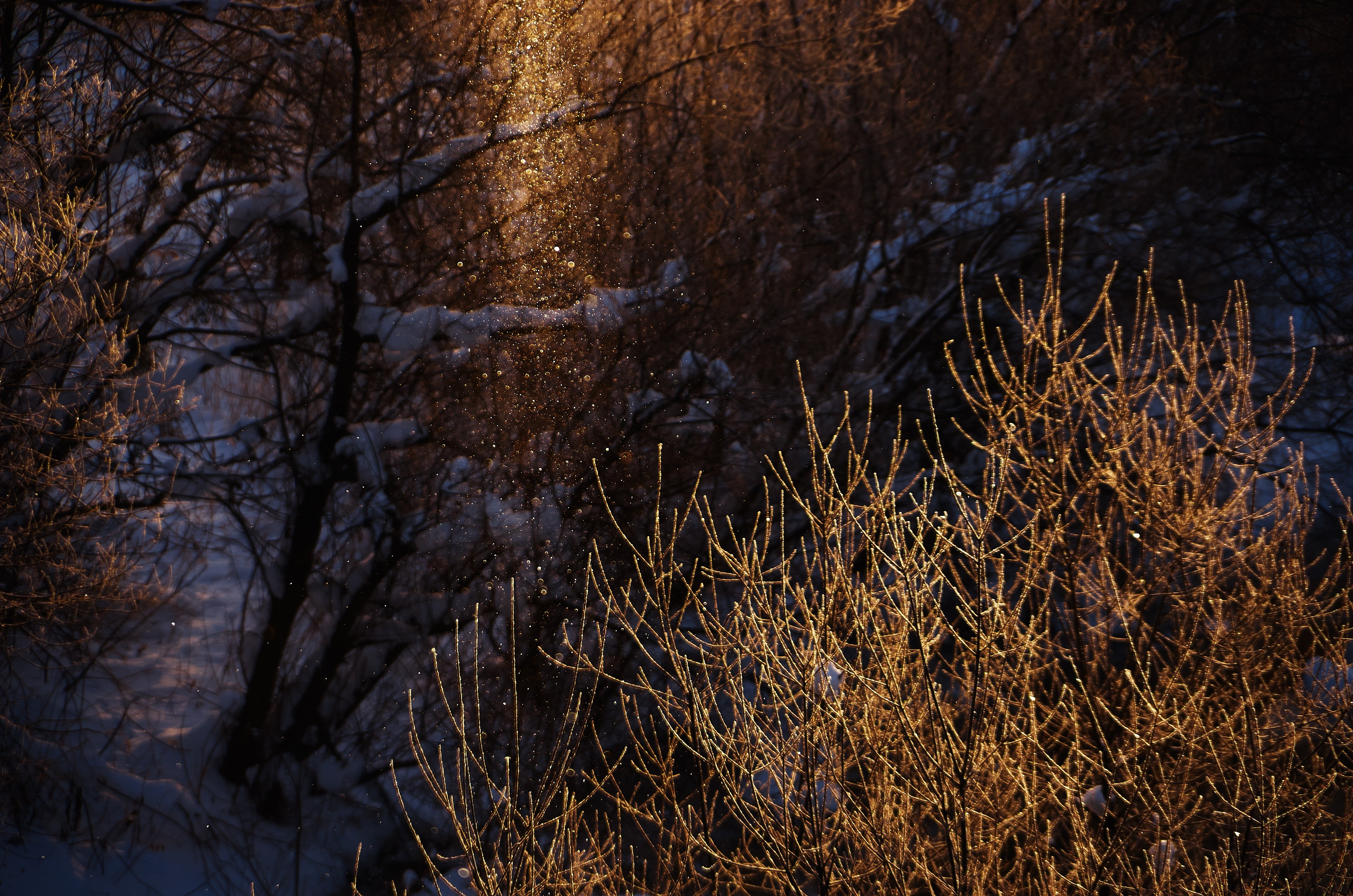 北海道のサンピラーの写真を無料ダウンロード フリー素材 ぱくたそ