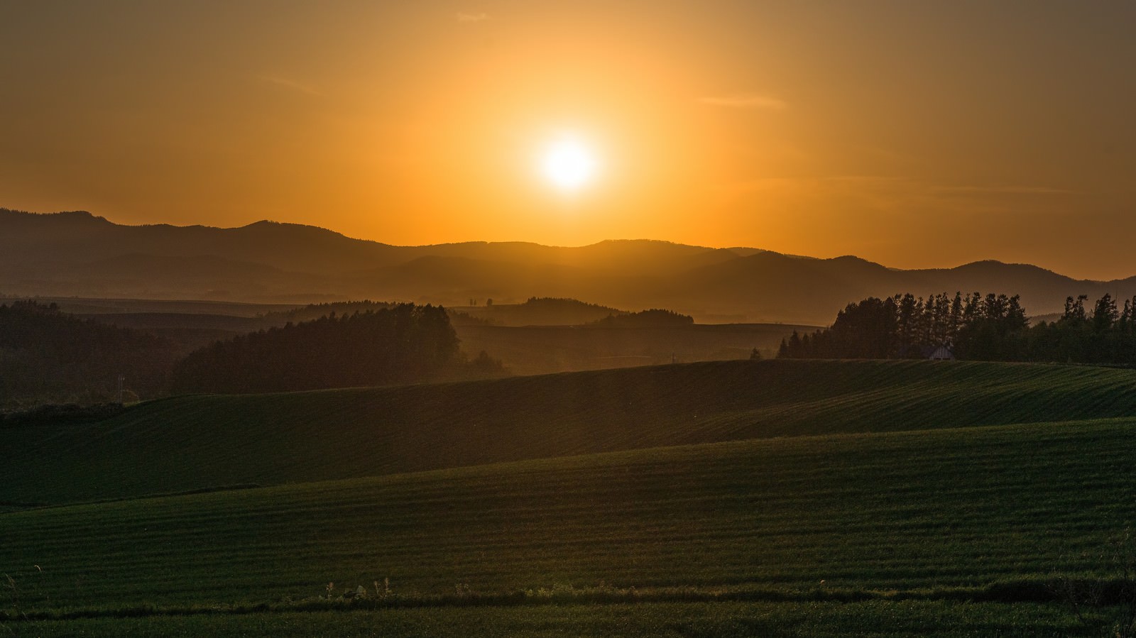 ãå¤æ®ãã®ç¾çã®ä¸å¤æ®ãã®ç¾çã®ä¸ãã®ããªã¼åçç´ æãæ¡å¤§