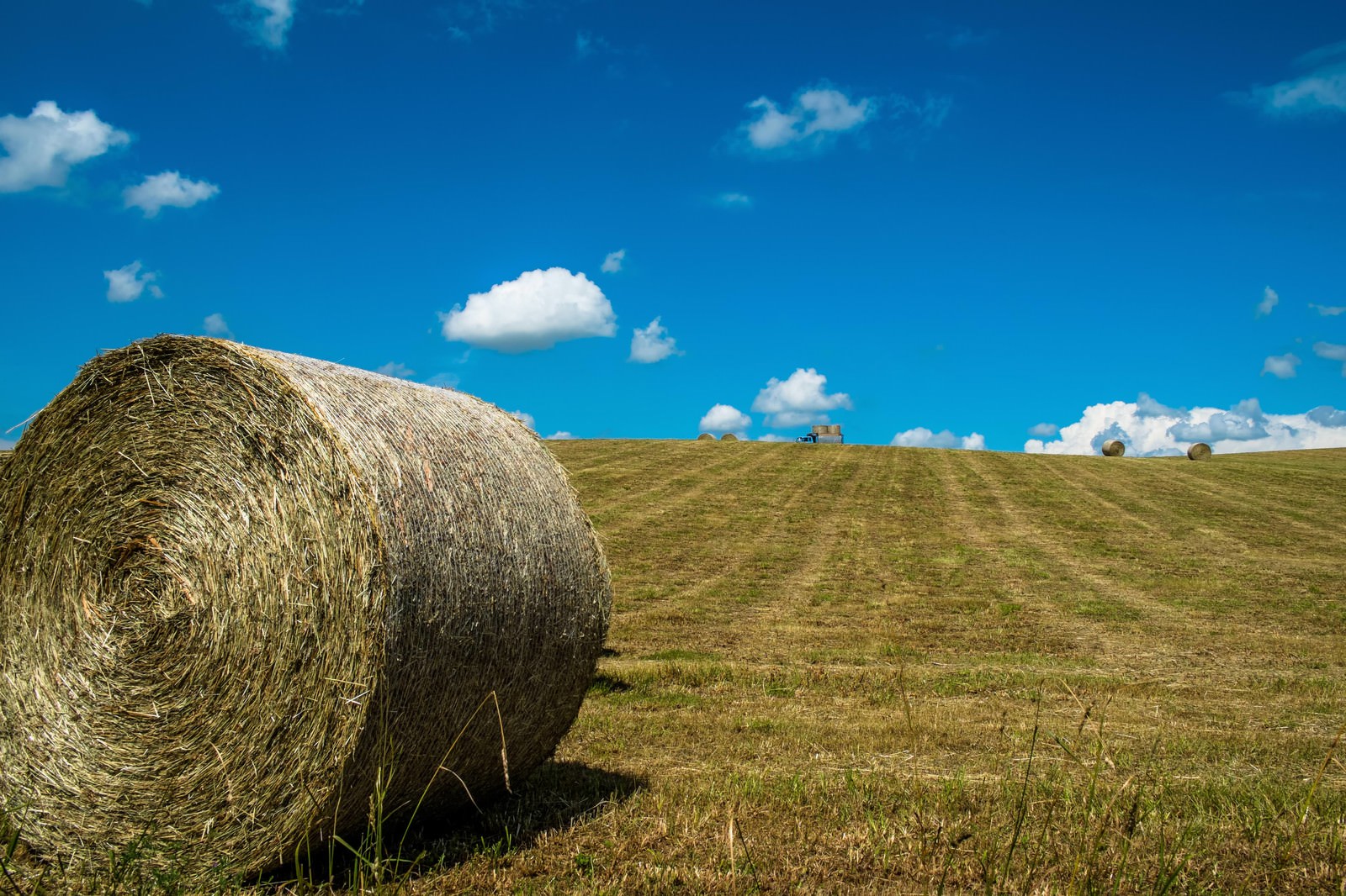 「牧草ロールと青空」の写真