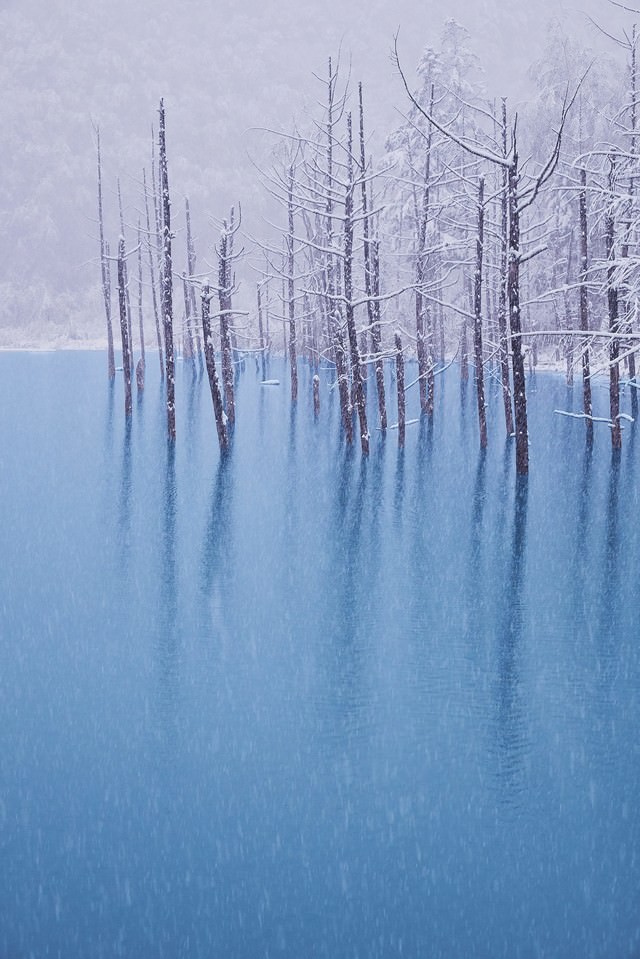 初雪の振る青い池の写真を無料ダウンロード フリー素材 ぱくたそ