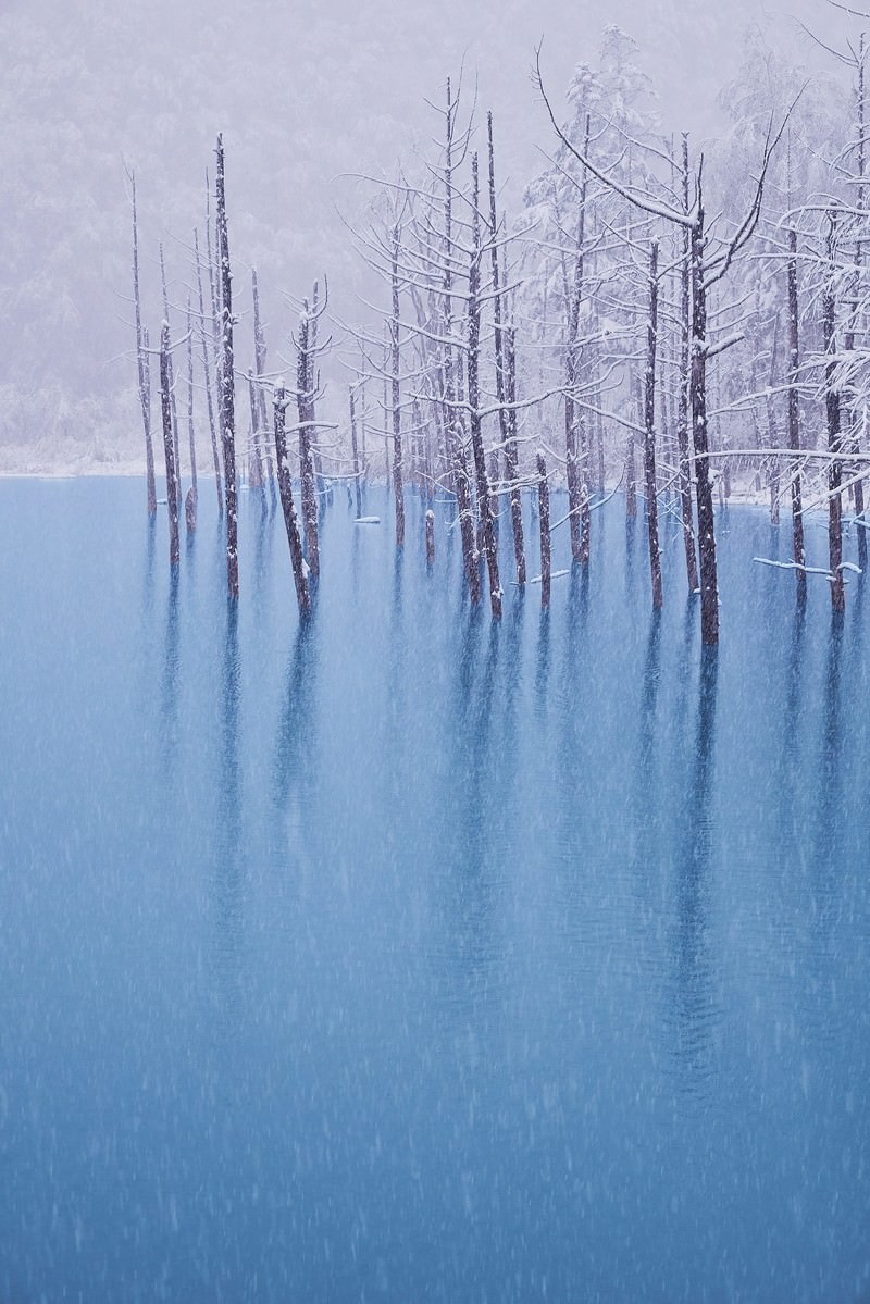 初雪の振る青い池の写真素材 ぱくたそ