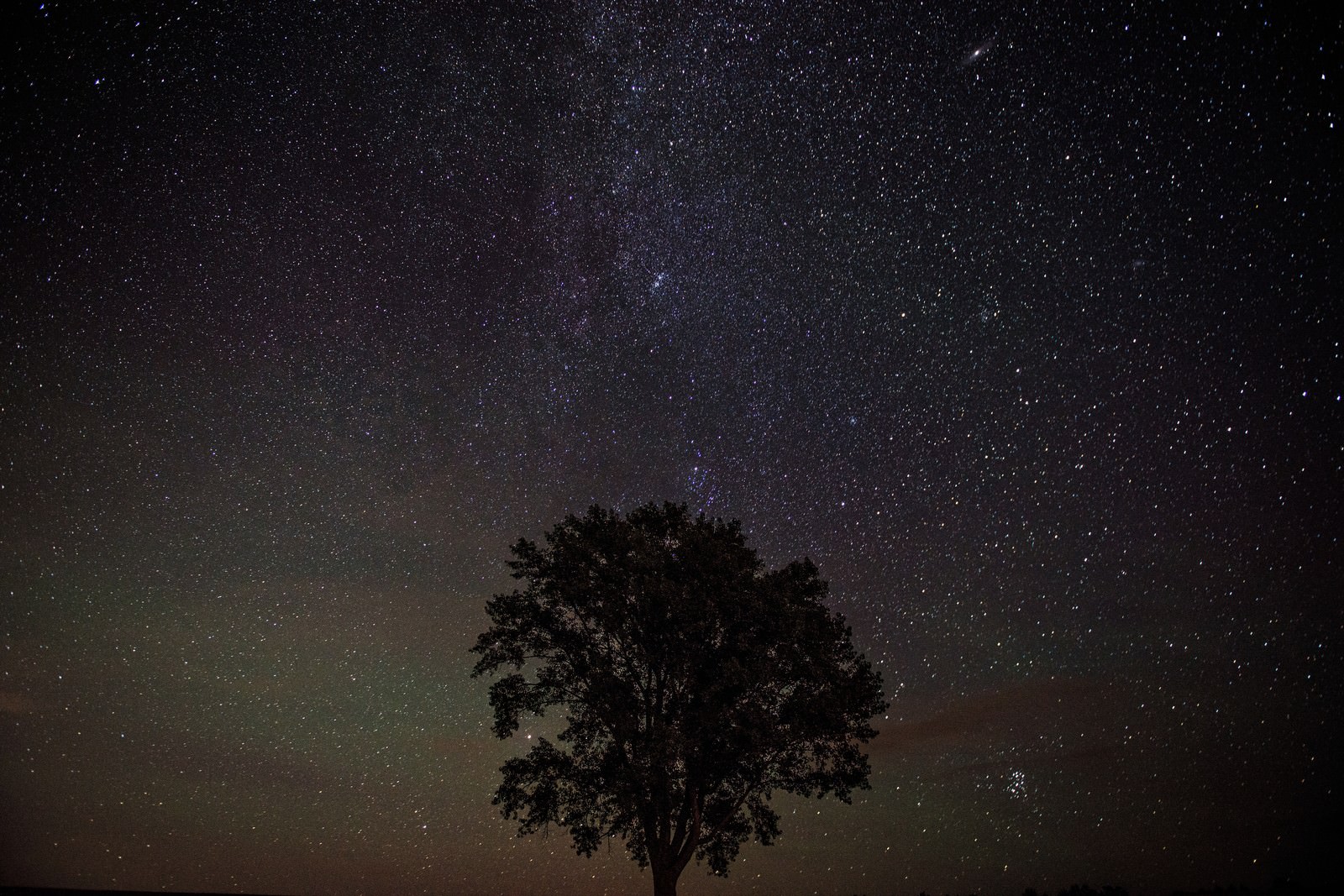 美瑛の木と星空の写真素材 ぱくたそ