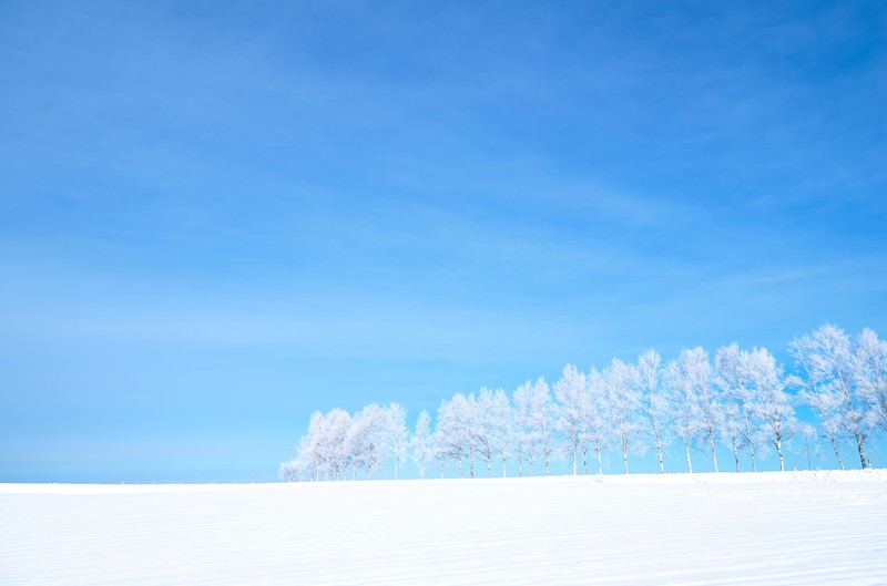 雪原と霧氷の写真素材 ぱくたそ