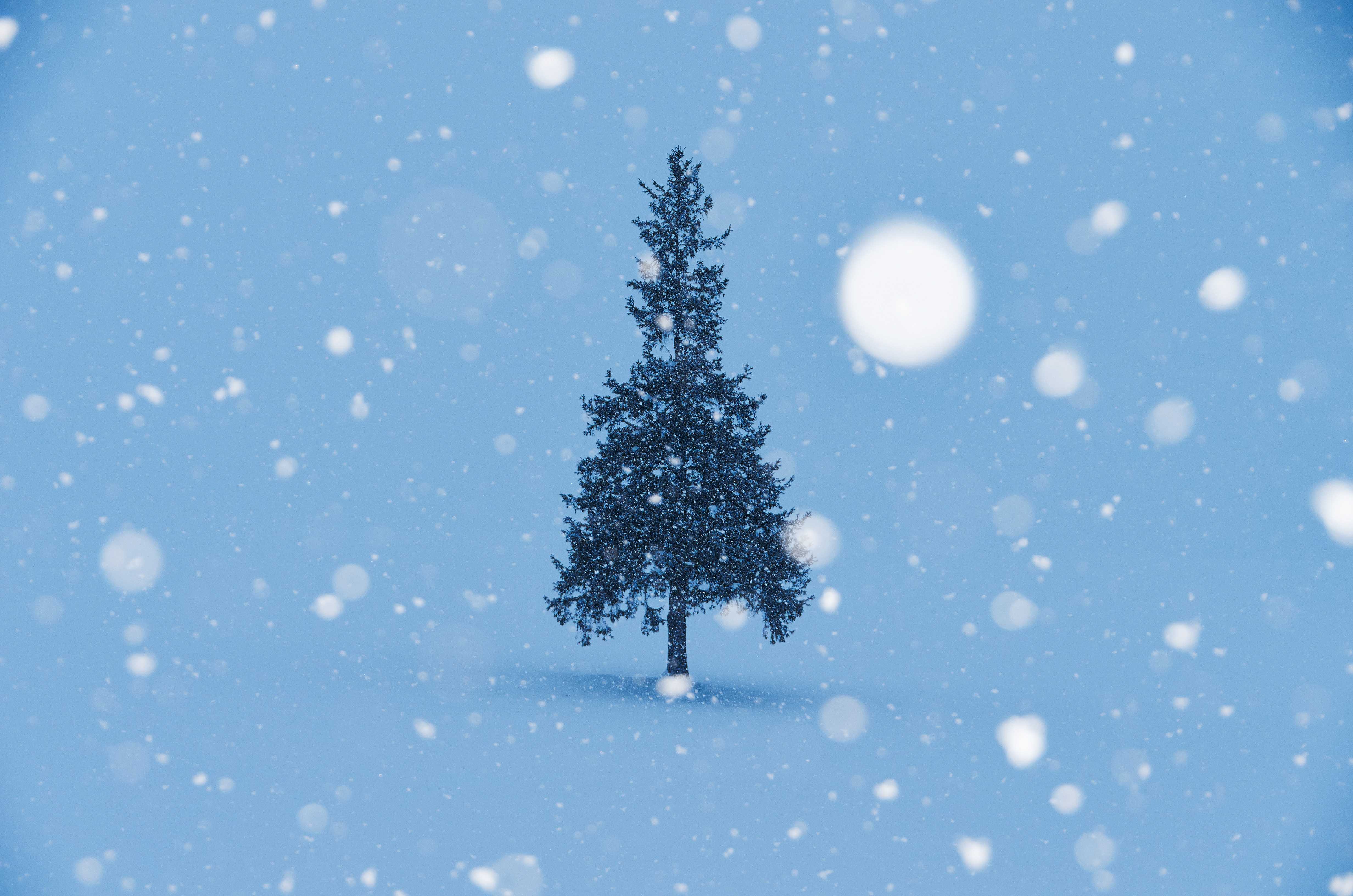 雪降るクリスマスツリーの写真 フリー素材は ぱくたそ 写真を無料ダウンロード