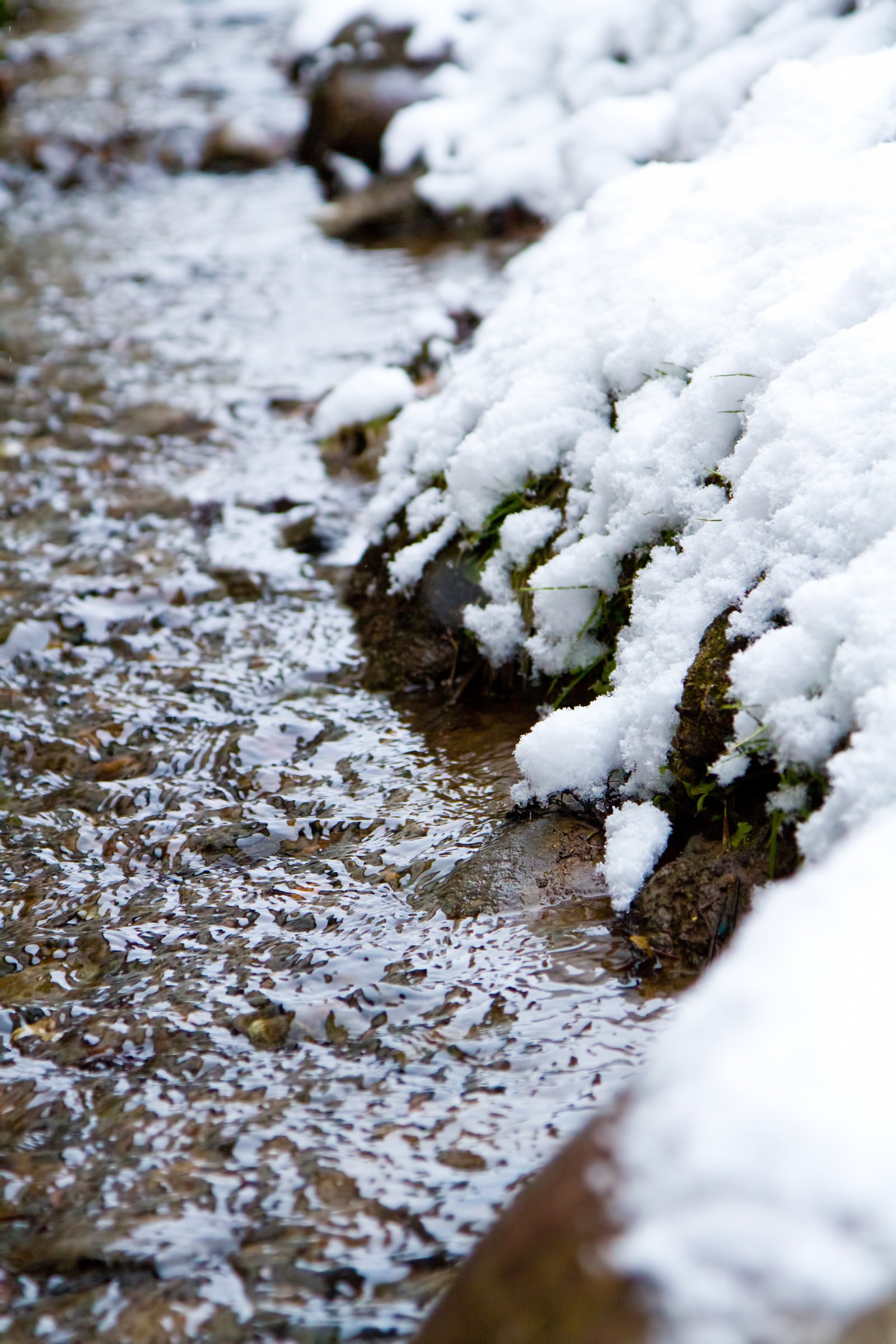 雪解けの小川の無料の写真素材 フリー素材 をダウンロード ぱくたそ 雪解けの小川の無料の写真素材 フリー素材 をダウンロード ぱくたそ