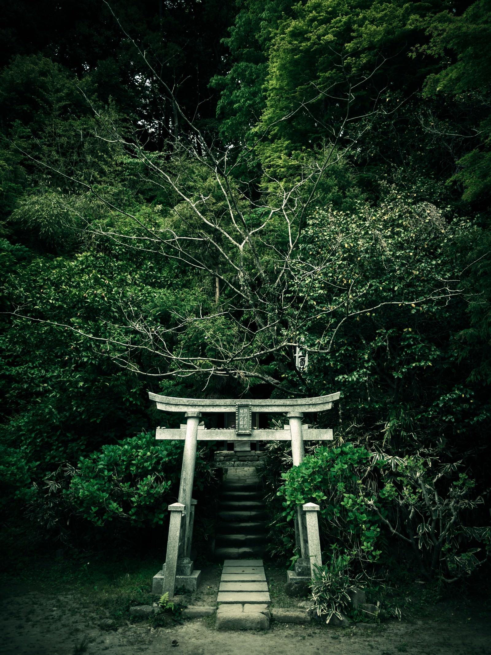 最も人気があります 神社 壁紙 高画質