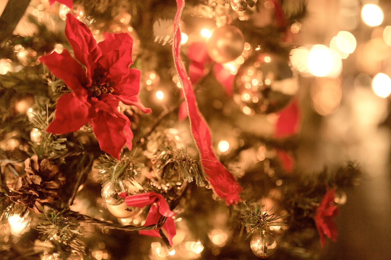 「輝くクリスマスツリー」の写真
