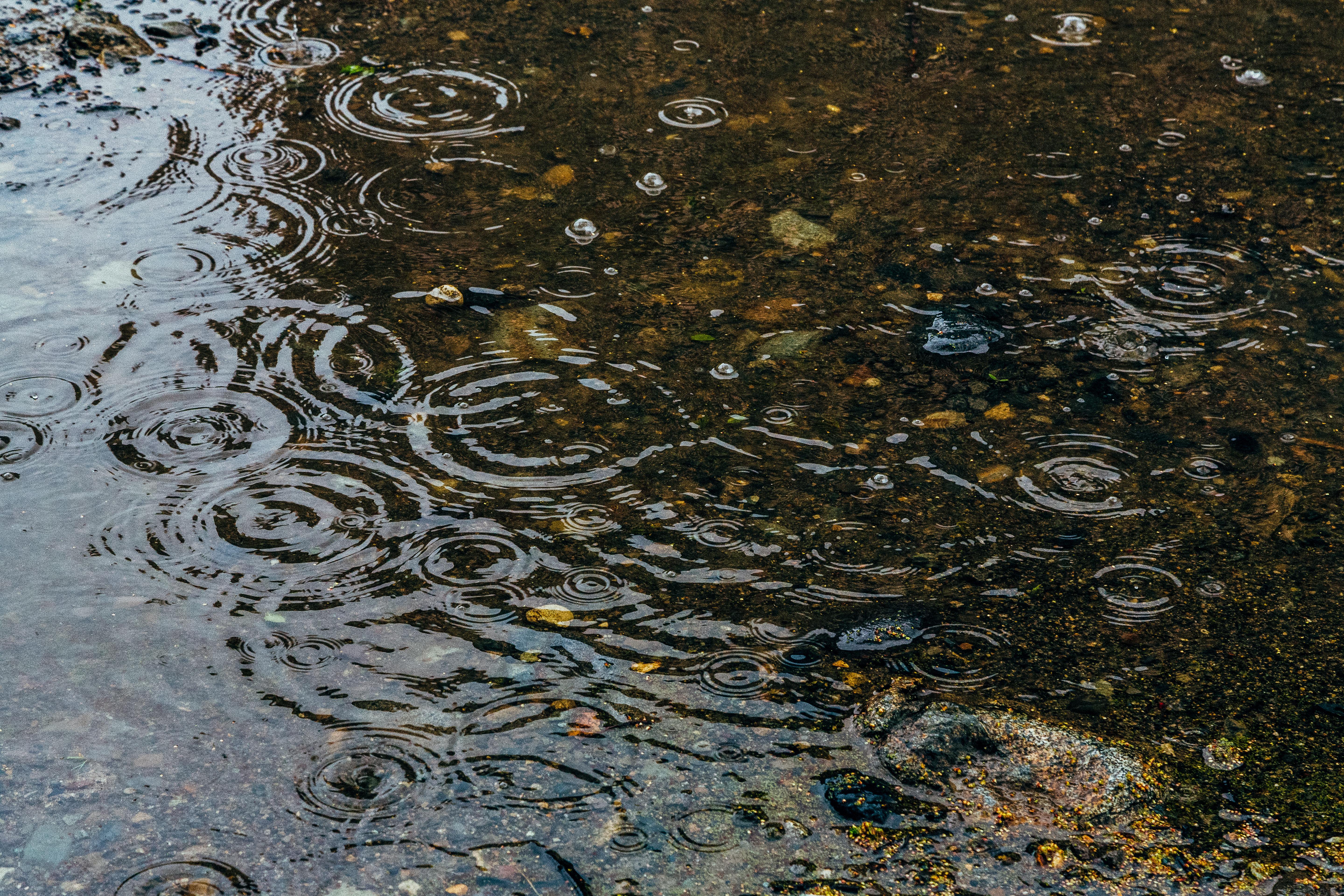 雨の日の水たまりの写真を無料ダウンロード フリー素材 ぱくたそ