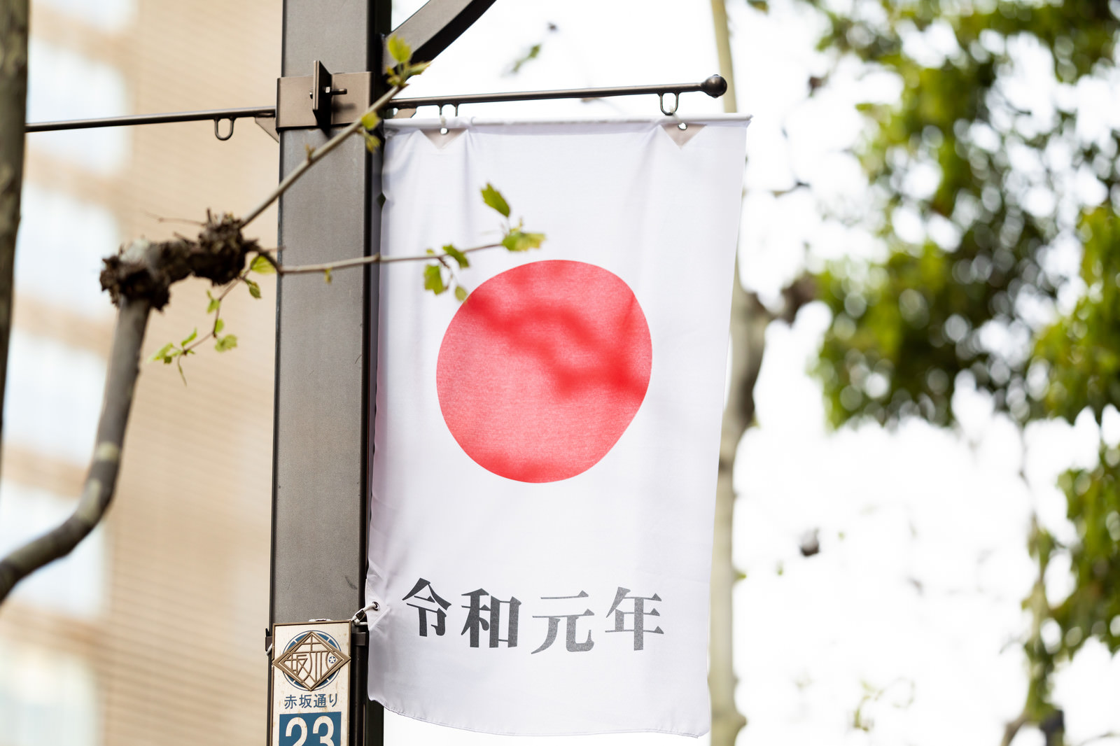 「令和元年と日の丸」