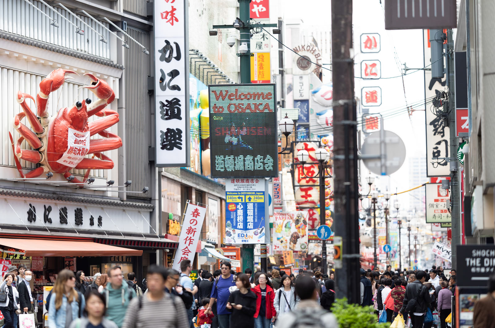 「人で溢れる道頓堀商店街 | 写真の無料素材・フリー素材 - ぱくたそ」の写真