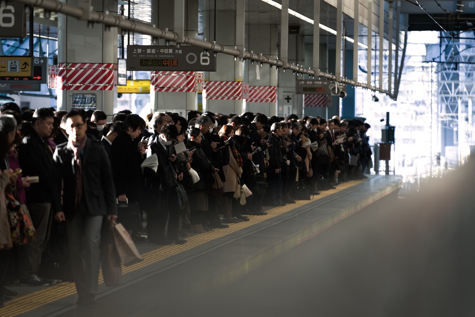 「通勤時のラッシュ：社畜の安寧」の写真