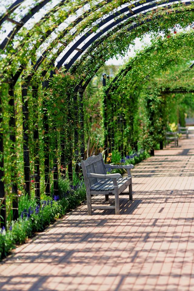 植物園のアーチとベンチの写真素材 ぱくたそ