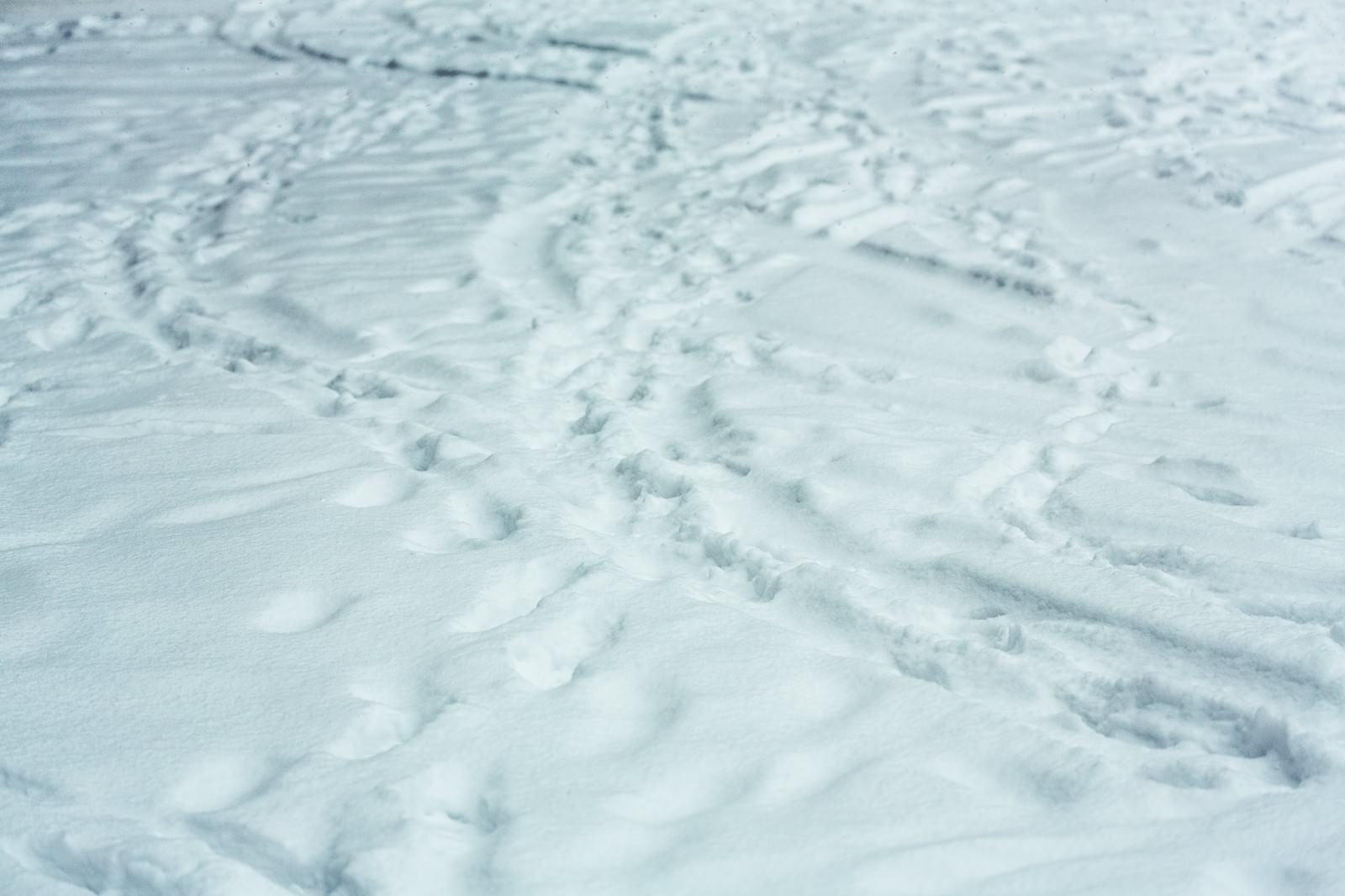 降り積もる雪 轍と足あと の写真 画像 を無料ダウンロード フリー素材のぱくたそ