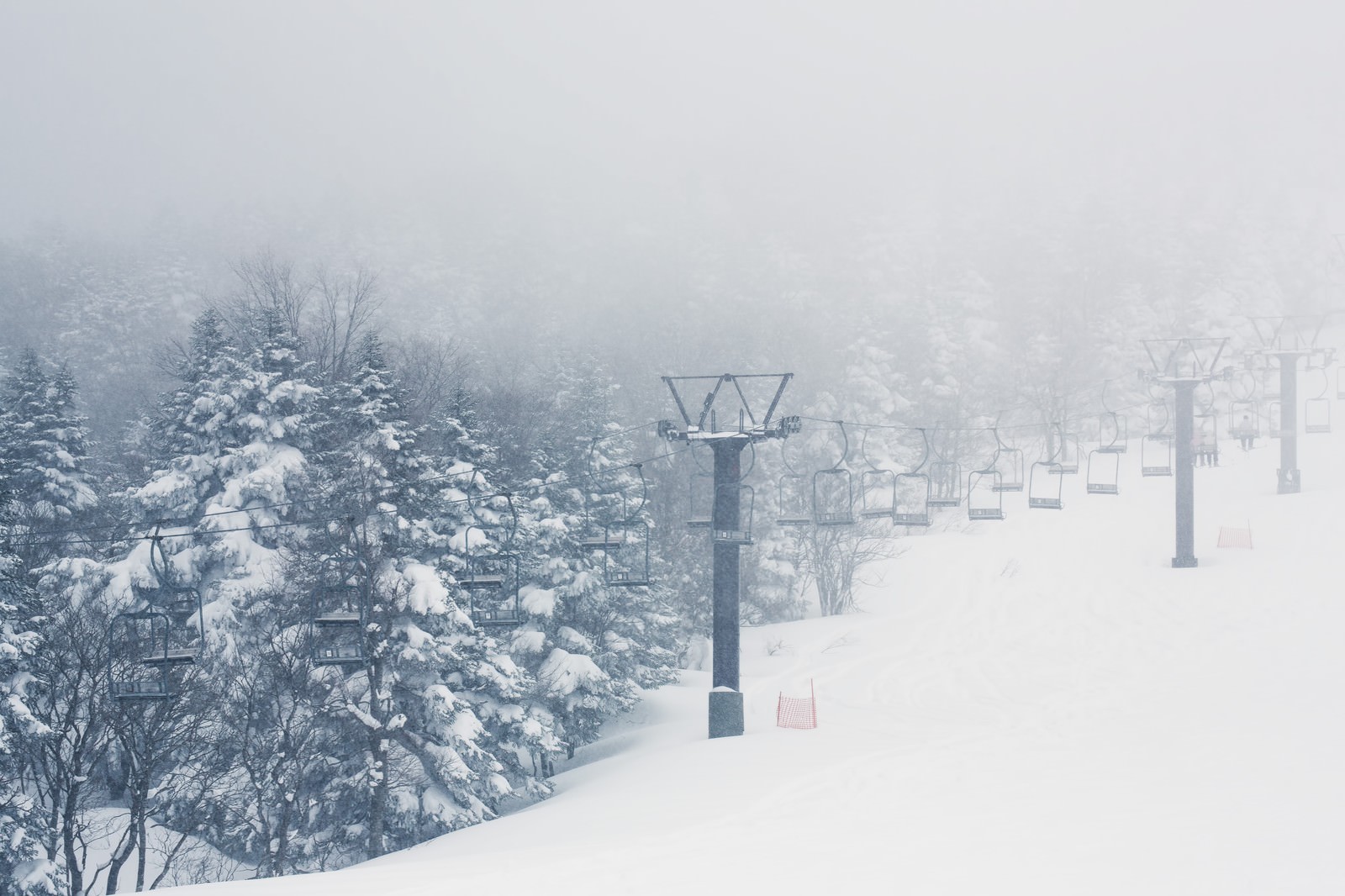 ãå¤§éªã®ã²ã¬ã³ãï¼ãªããï¼ãã®åç