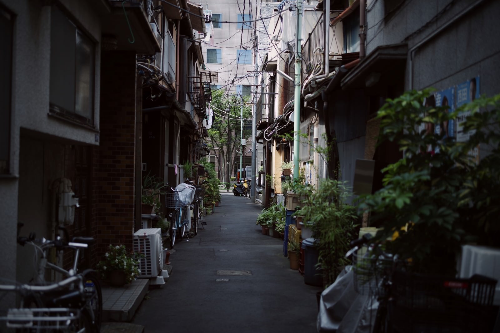 月島の民家が立ち並ぶ路地裏の様子の写真を無料ダウンロード フリー素材 ぱくたそ 月島の民家が立ち並ぶ路地裏の様子の写真を無料ダウンロード フリー素材 ぱくたそ