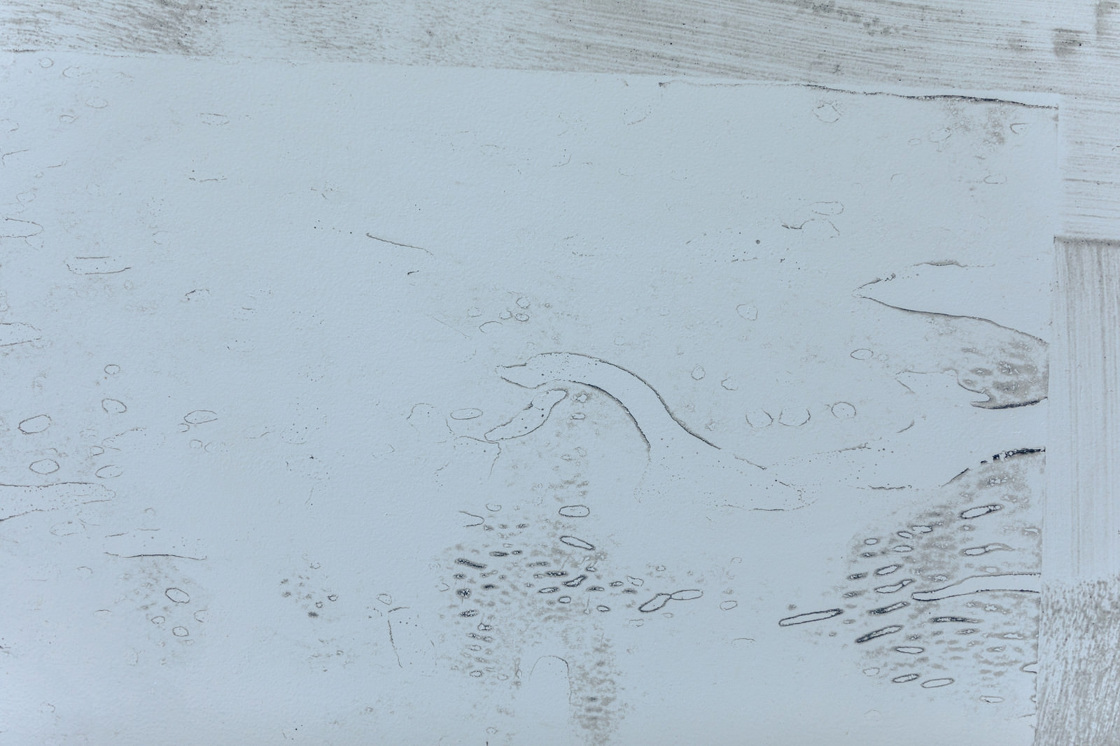 薄汚れた塗装された壁の無料の写真素材 フリー素材 をダウンロード ぱくたそ