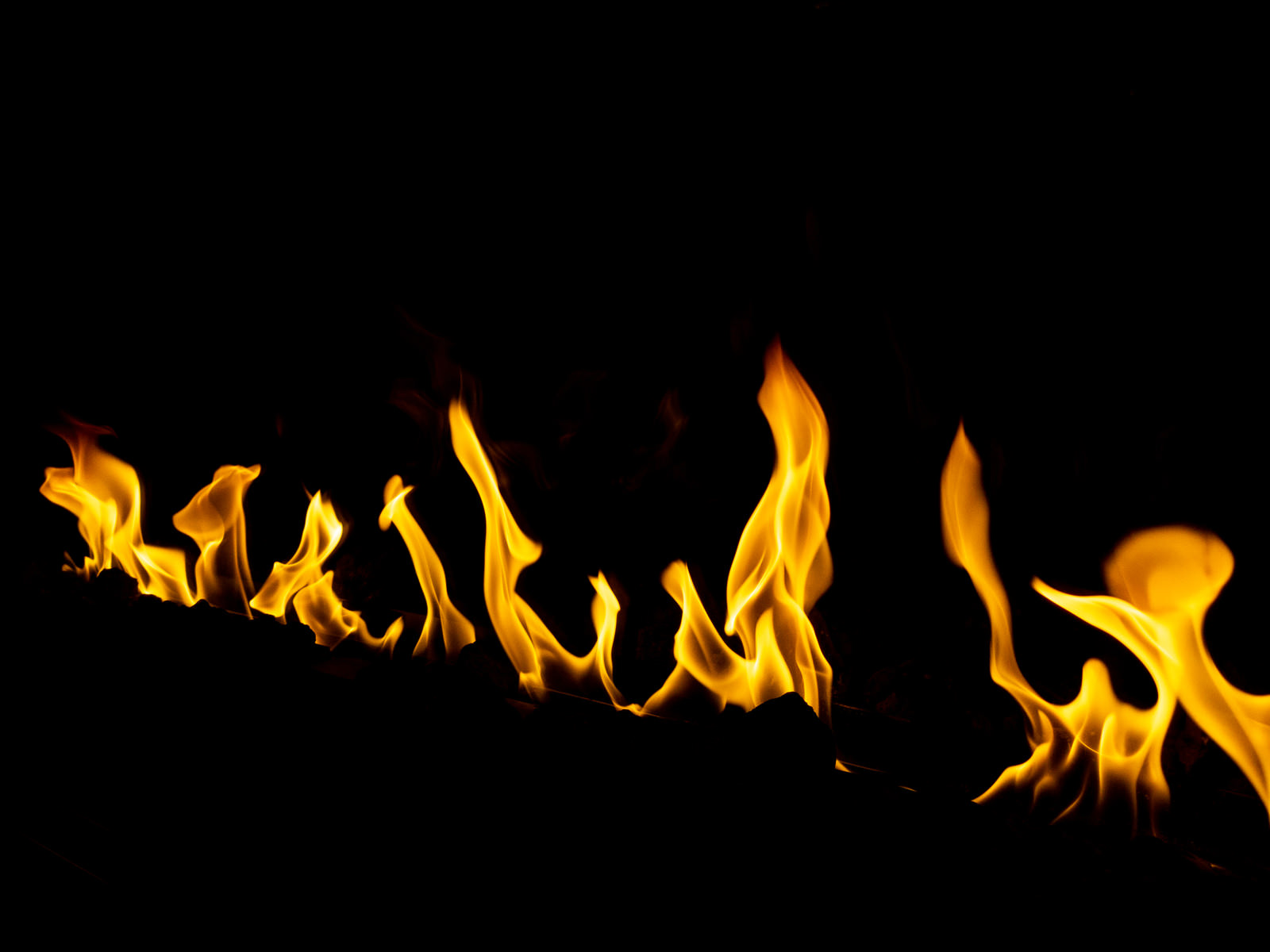 PAKU2028fire2119_TP_V.jpg