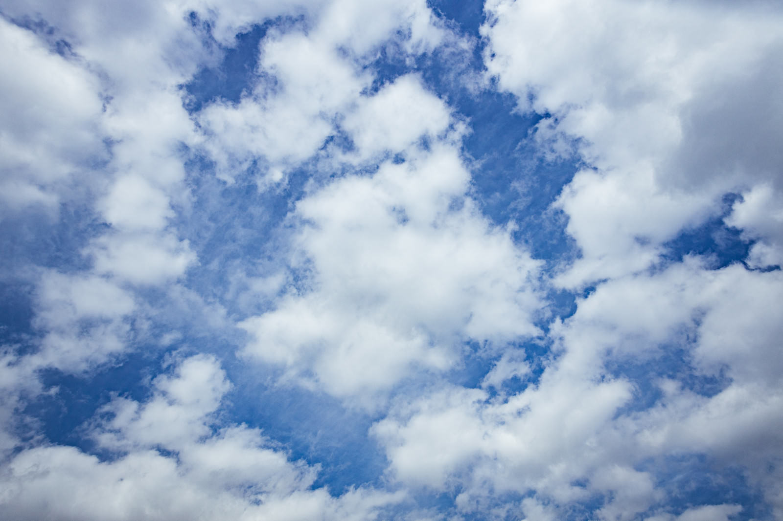 ひつじ雲の写真 画像 を無料ダウンロード フリー素材のぱくたそ